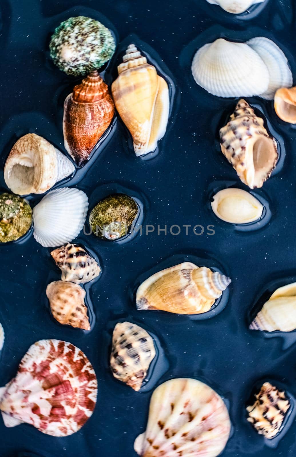 Ocean, nature texture and coastal vacation concept - Sea shell background, summertime destination and beach holiday travel card