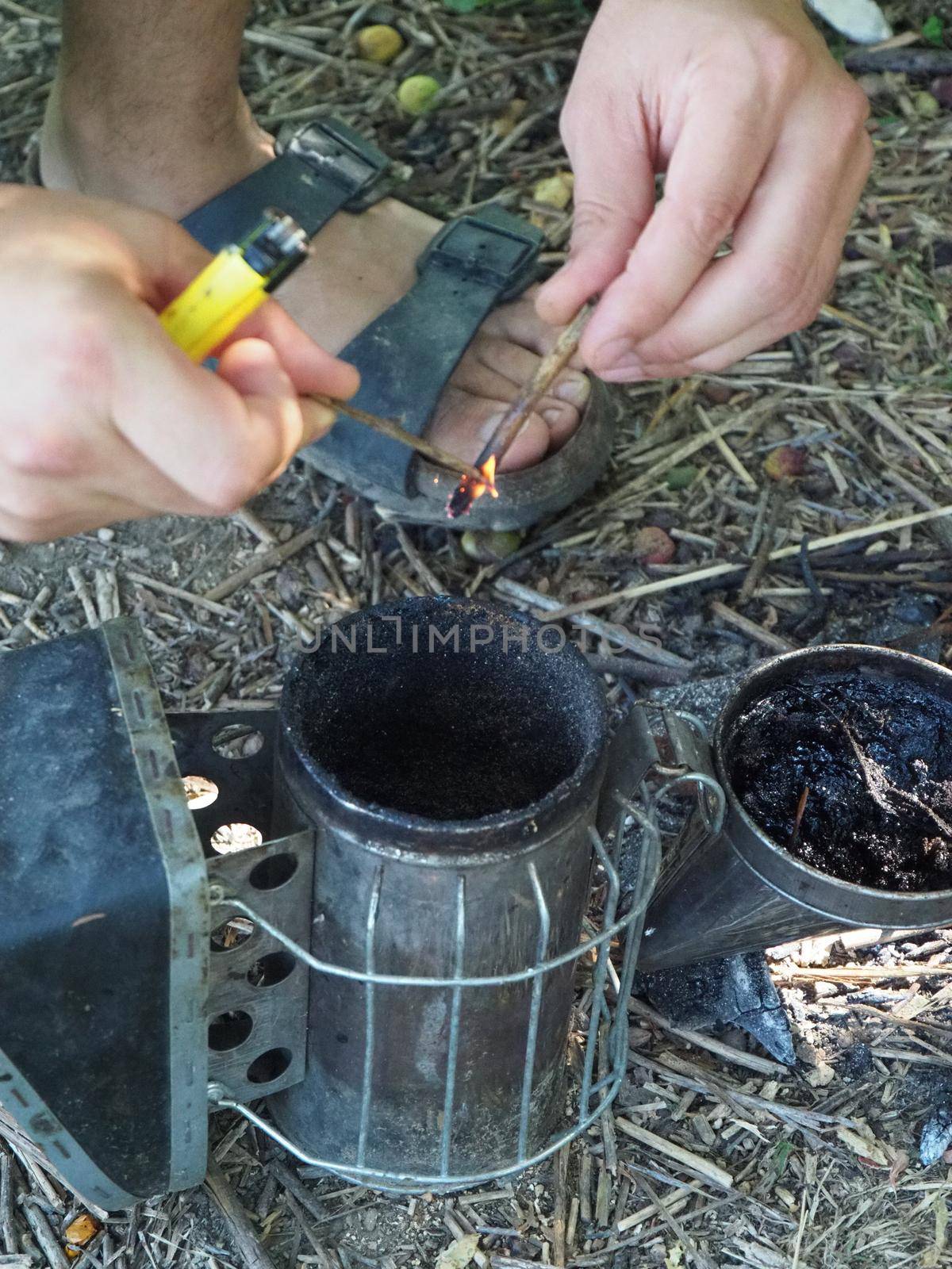 starting a bee smoker before harvesting honey hives in the farm.