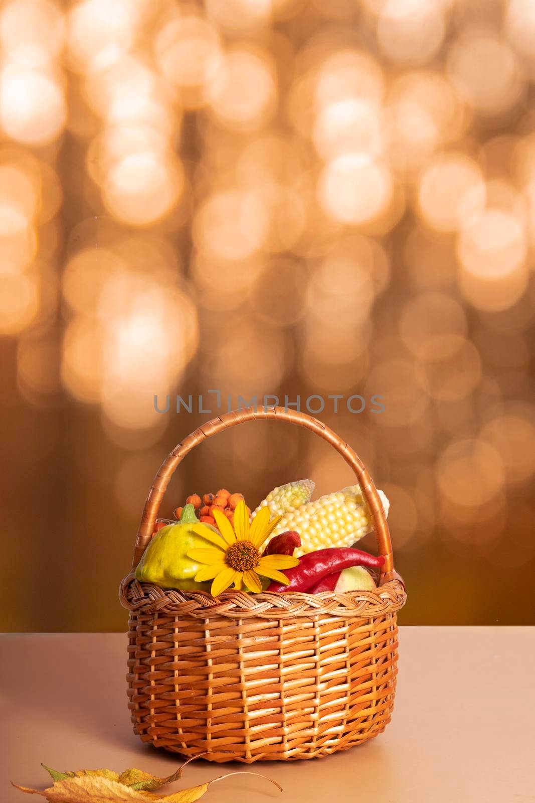 Autumn composition with a basket of apples, squash, peppers on the background of an autumn landscape. Autumn harvest concept.