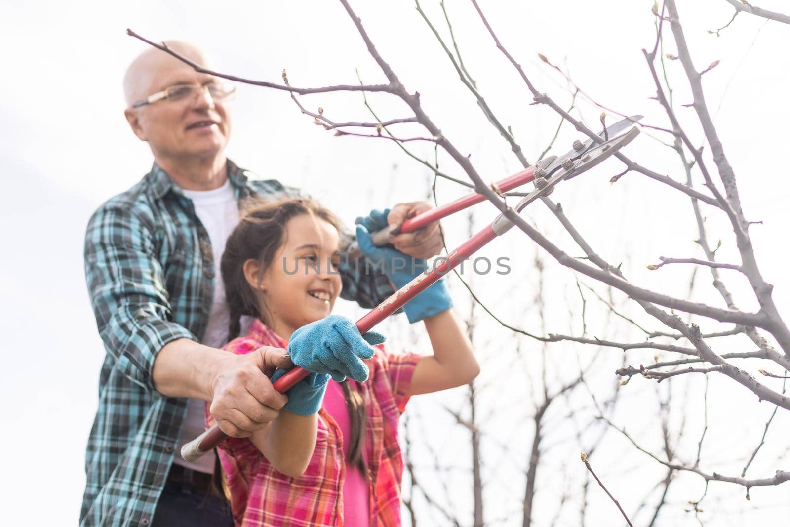 Senior grandfather and granddaughter gardening in the backyard garden