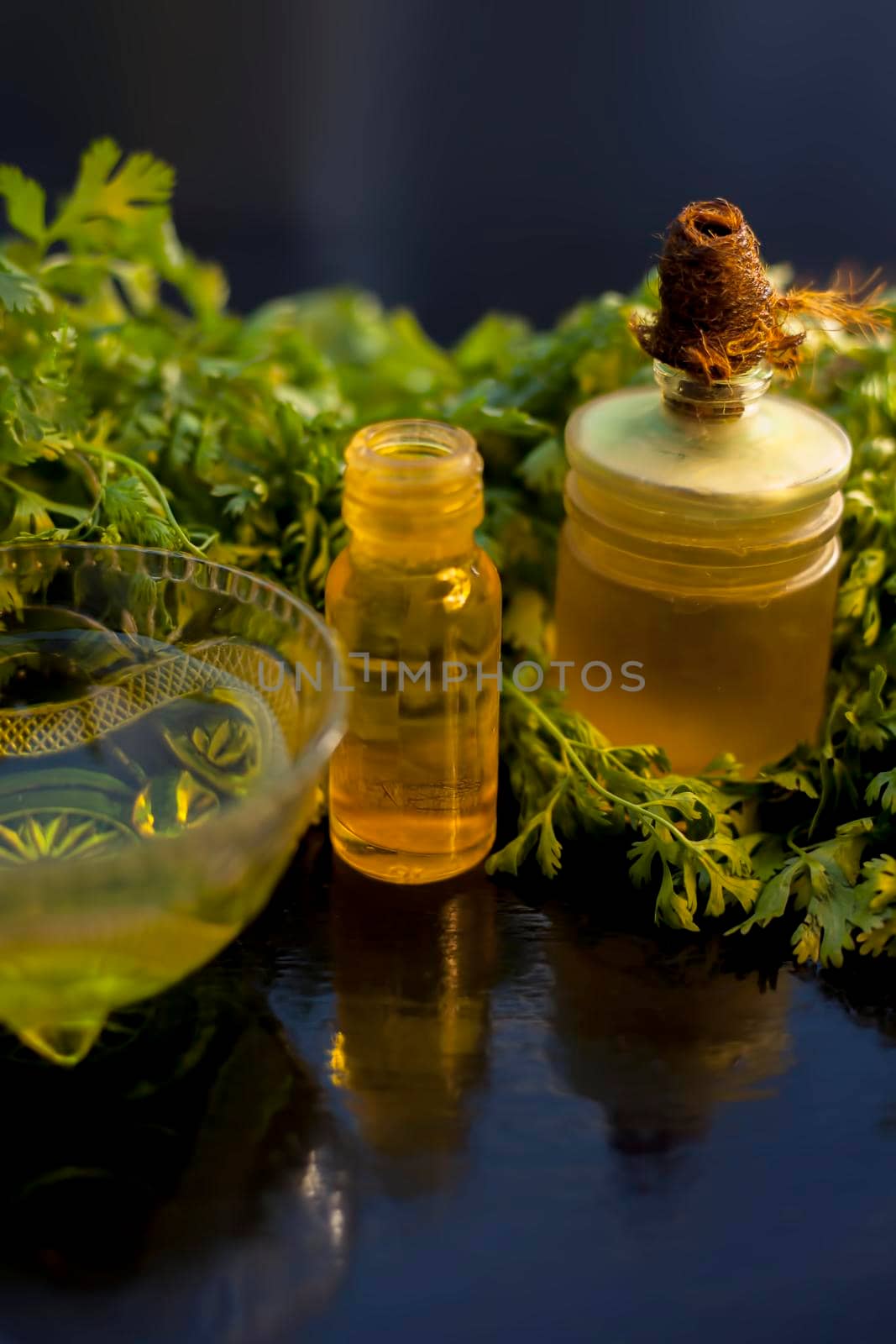 Close up shot of fresh cilantro leaves along with its tea, oil and essential oil in a different bottle on the black glossy surface. Vertical shot.