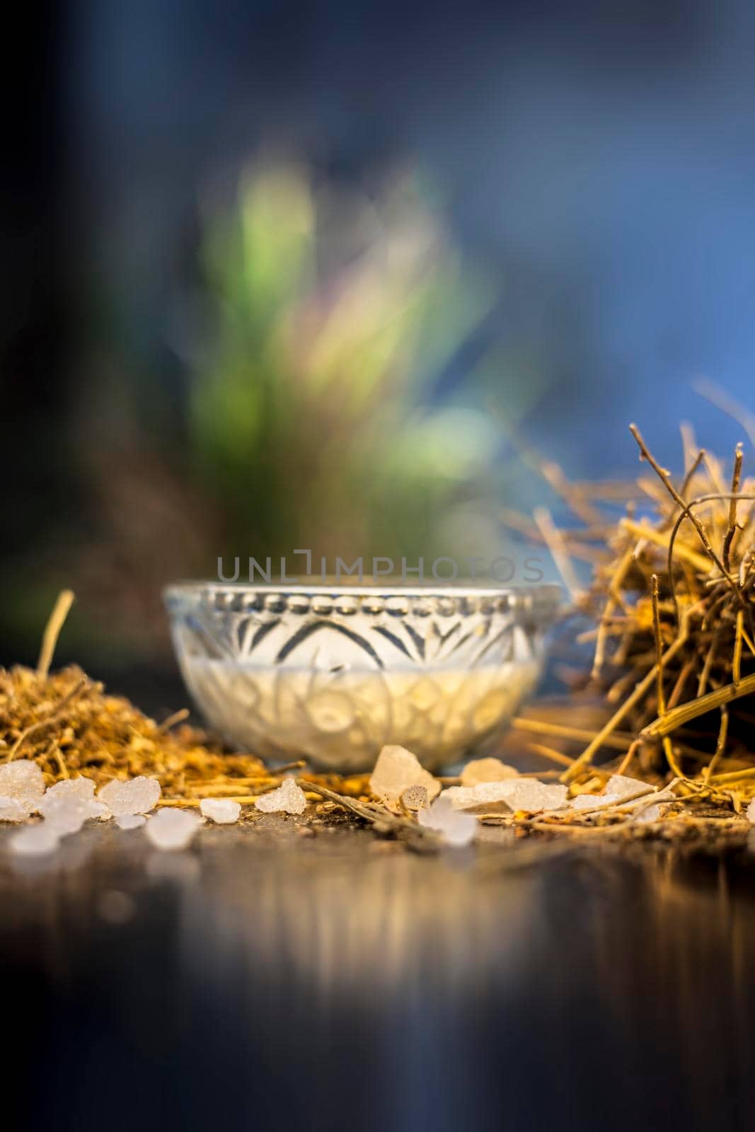 Close up of ayurvedic memory booster herb shankhpushpi on wooden surface along with some milk and sugar making a memory tonic together.