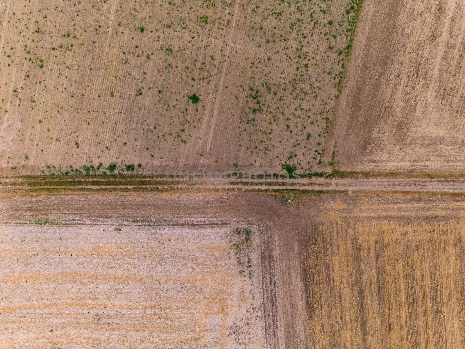A dirt road and parched fields after a heat wave and crop failure in Germany