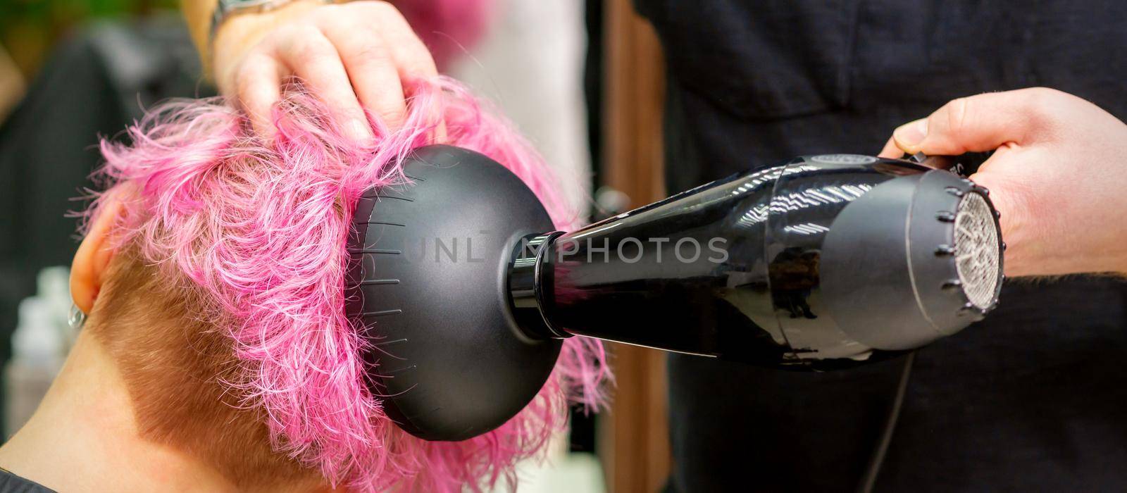 A male hairdresser professional drying stylish pink hair of the female client with a blow dryer in a beauty salon