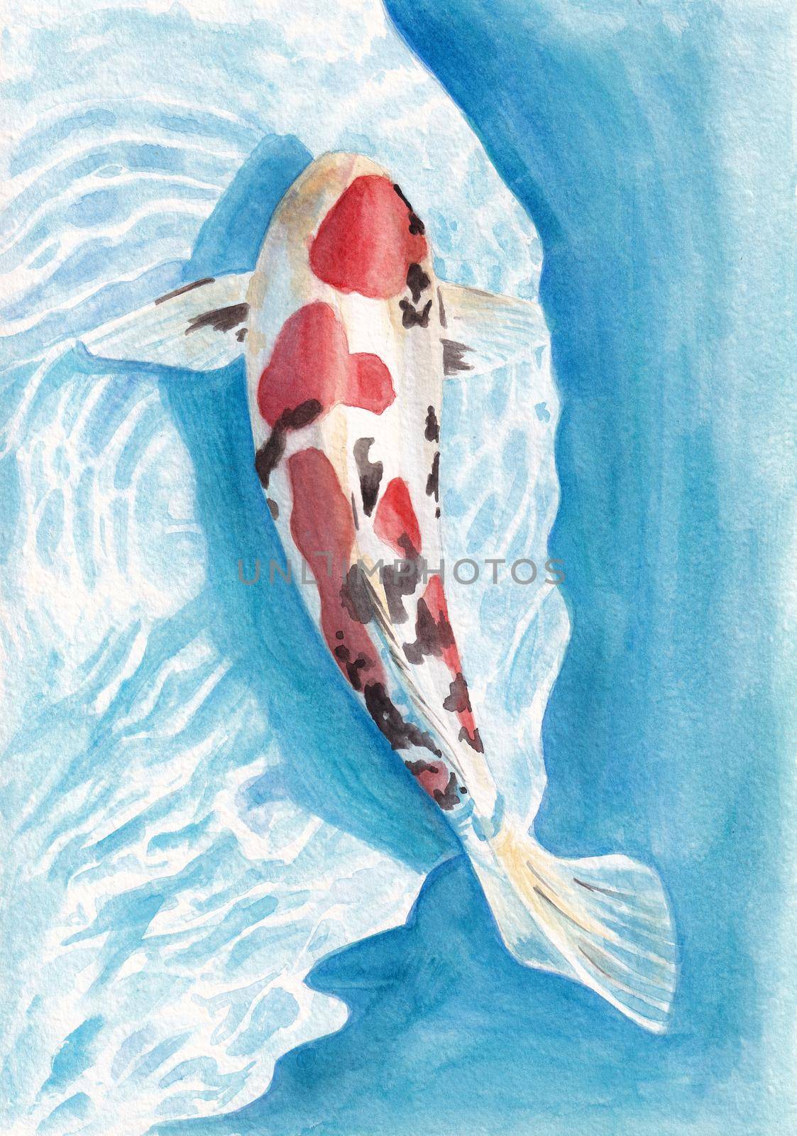 Beautiful Koi carps circling underwater watercolor illustration by Desperada