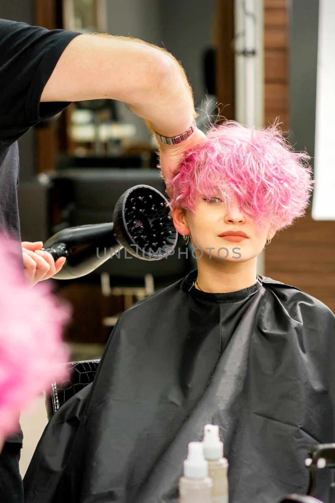 A male hairdresser professional drying stylish pink hair of the female client with a blow dryer in a beauty salon