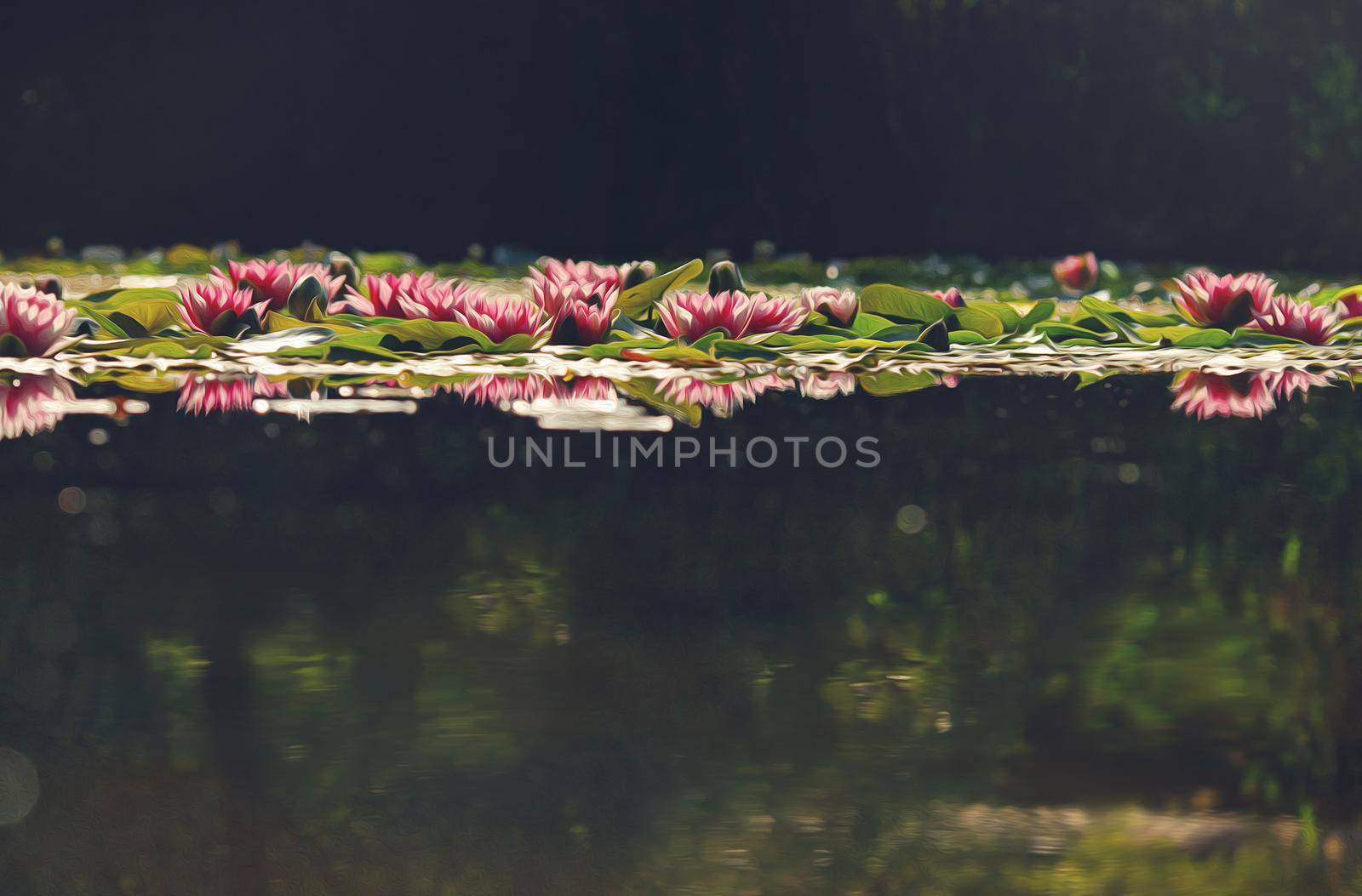 Oil painting of Waterlily floating in garden pond with reflection. Horizontal landscape by Gravika