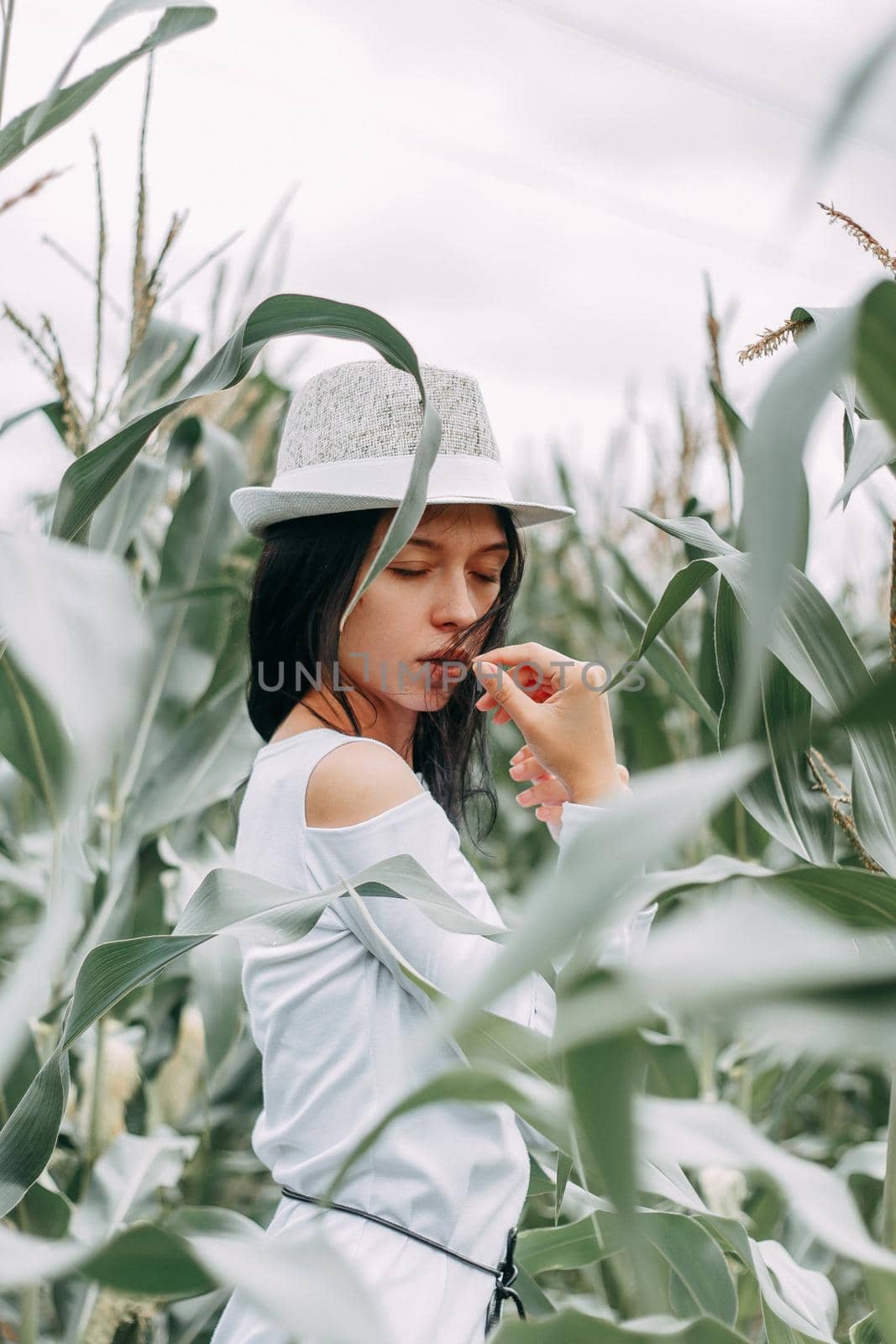 A brunette girl in a white dress in a cornfield. The concept of harvesting.
