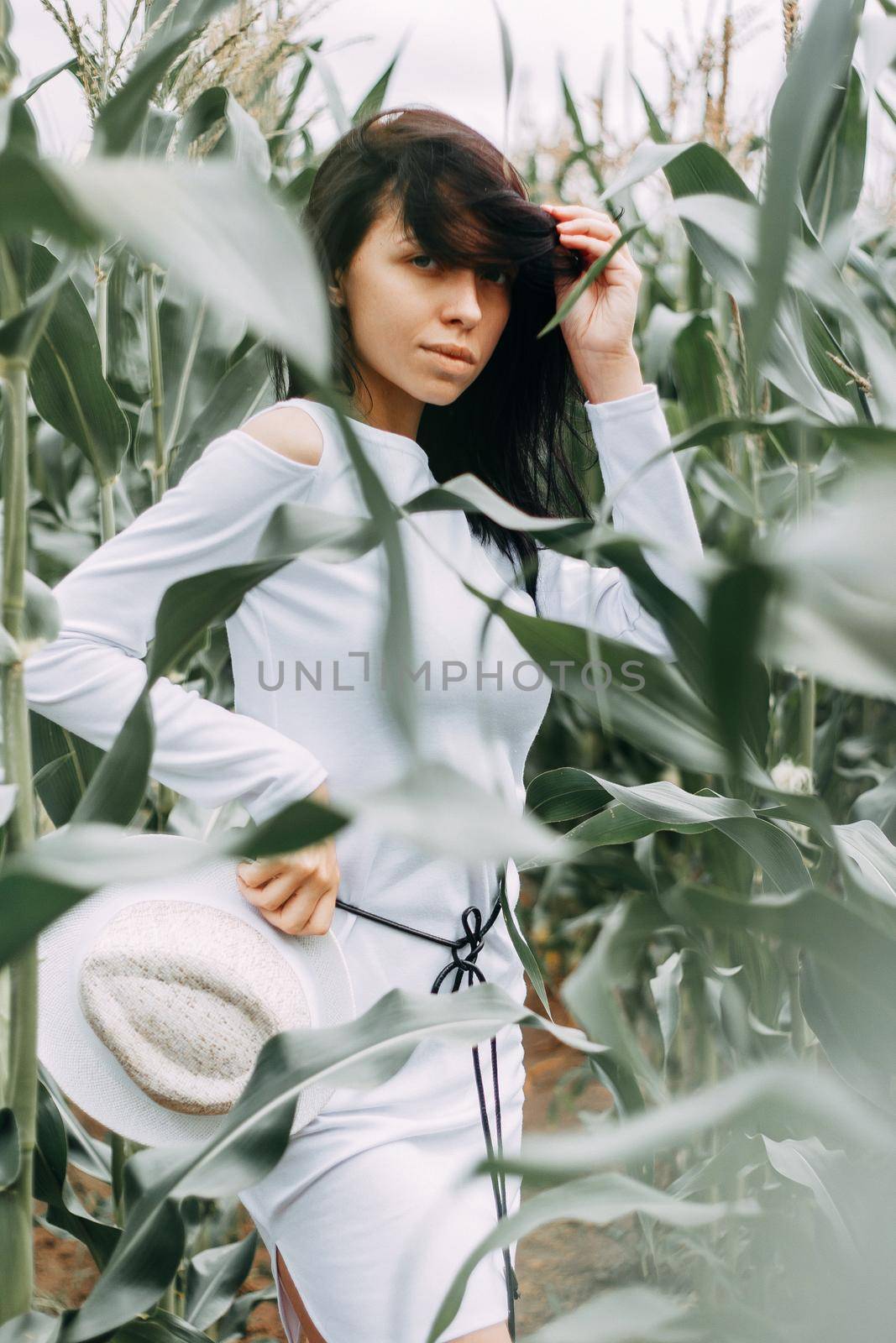 A brunette girl in a white dress in a cornfield. The concept of harvesting.