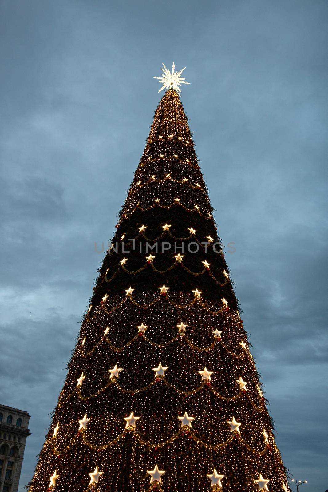 Bucharest Christmas market - Detail of Christmas tree
