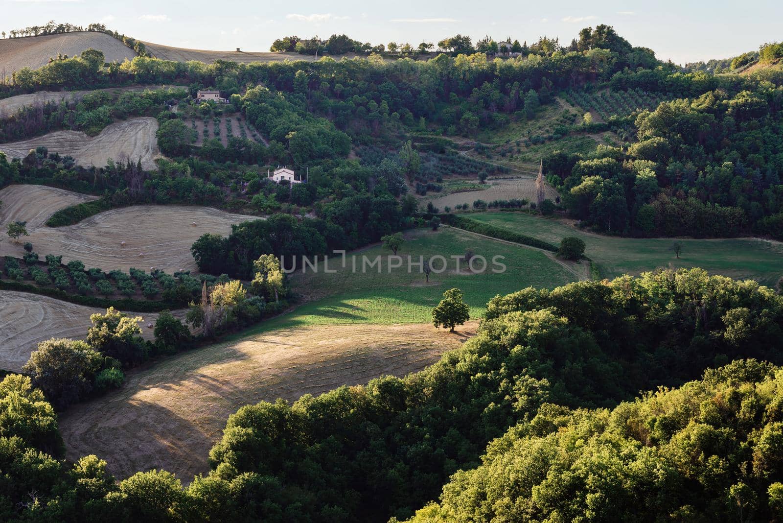 View of the fields and trees near Belvedere Fogliense in the Marche region of Italy, at evening before the sun sets.