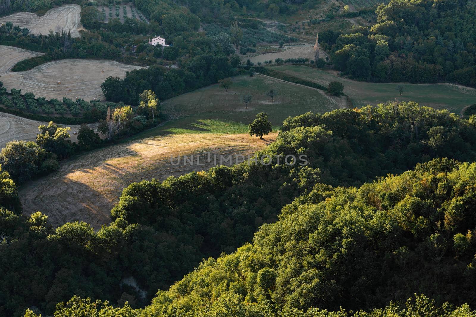View of the fields and trees near Belvedere Fogliense in the Marche region of Italy, at evening before the sun sets.