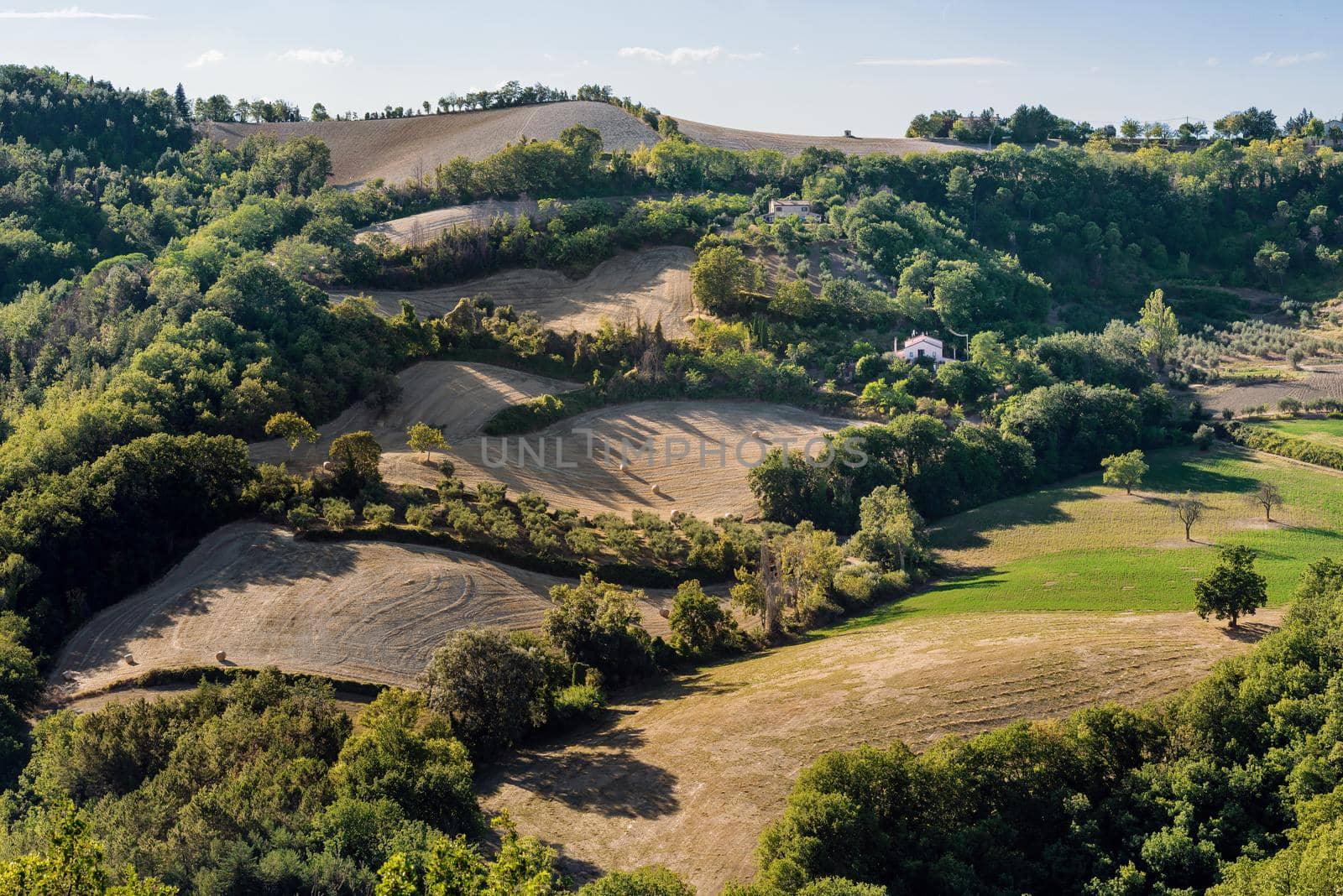 View of the fields and trees near Belvedere Fogliense in the Marche region of Italy by MaxalTamor