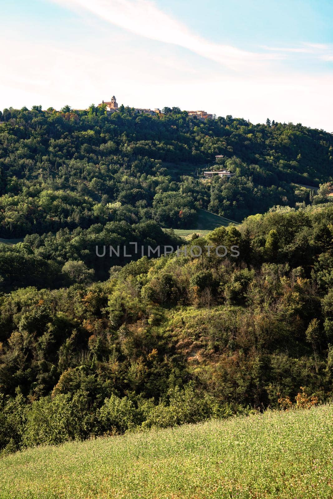 View of fields under Belvedere Fogliense, Region Marche of Italy. In the background appears the medieval city of Mondaino