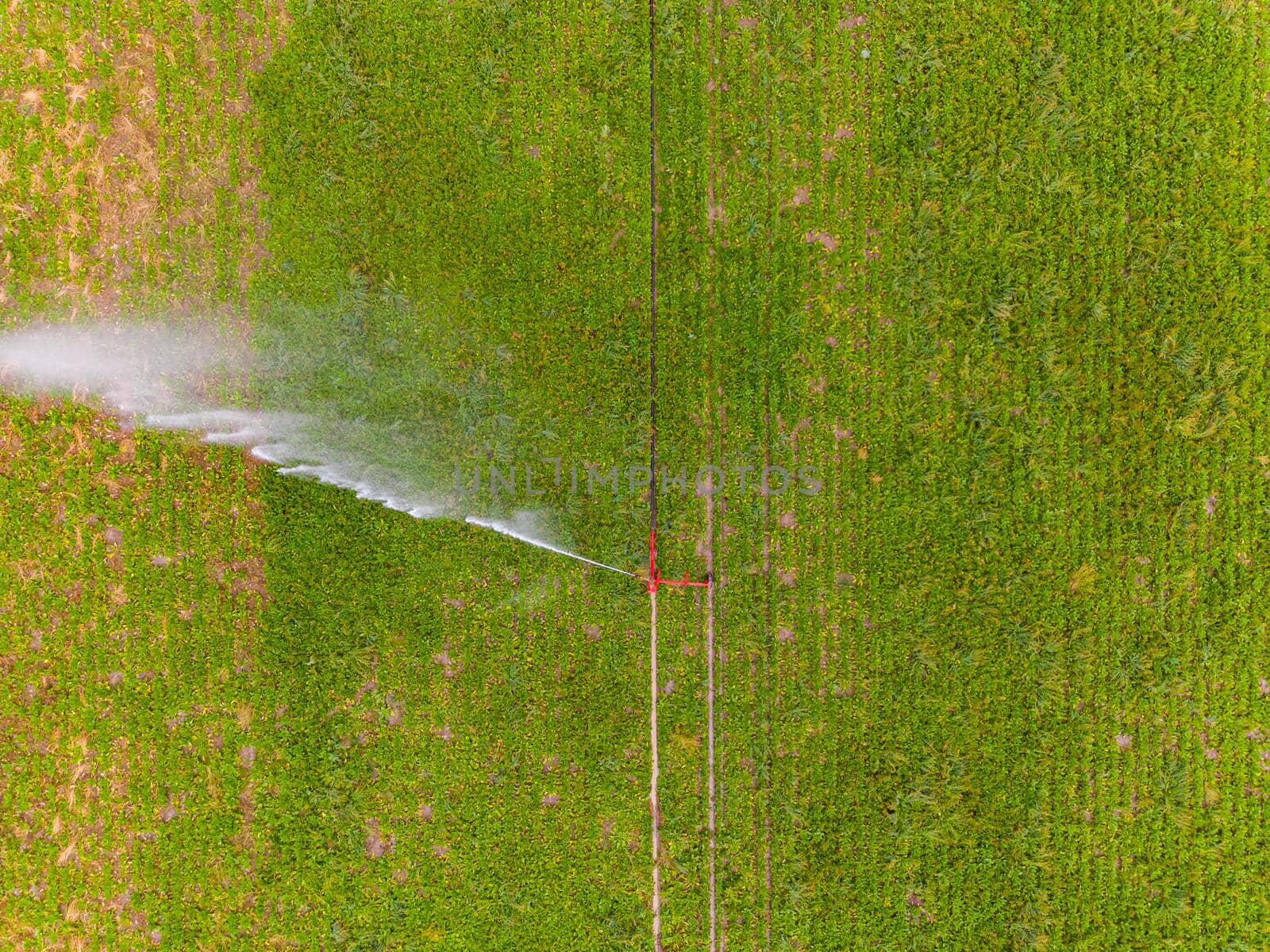 Agricultural irrigation with water jet breaking in the wind seen directly from above