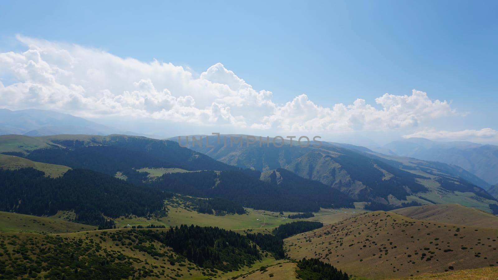 Big white clouds over green hills and mountains. Yellow-green grass covers the mountains, tall green coniferous trees in the gorge. Low bushes grow. A light haze floats on the ground. Assy, Kazakhstan