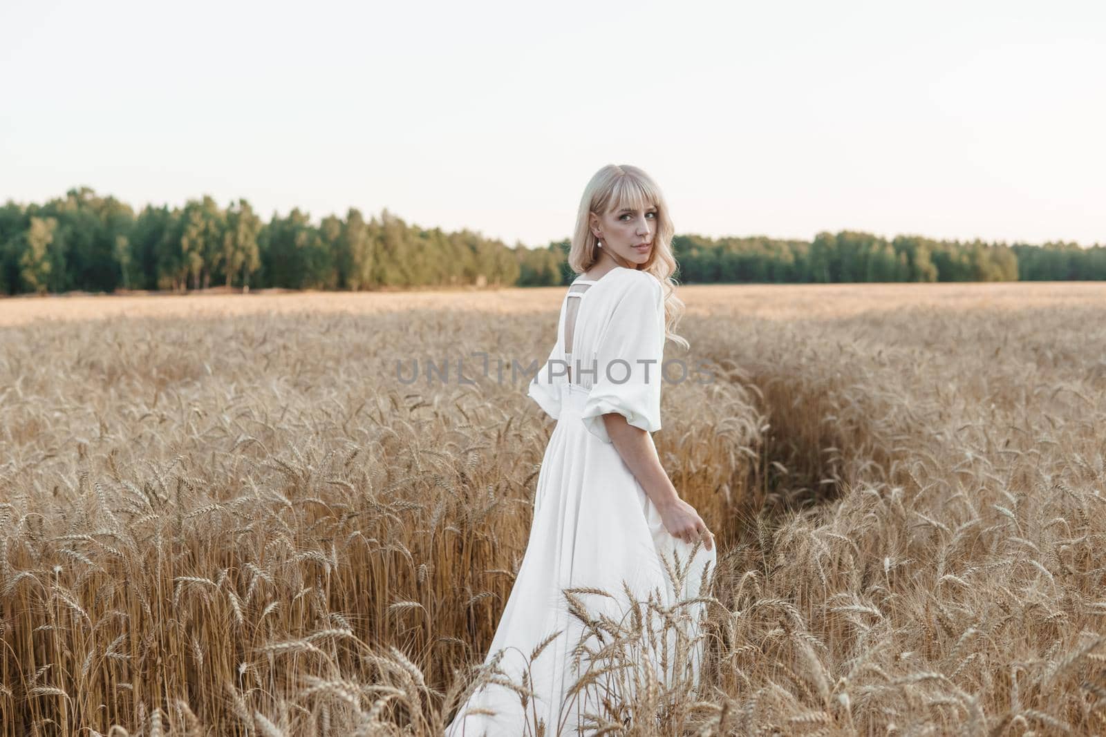 A blonde woman in a long white dress walks in a wheat field. The concept of a wedding and walking in nature.