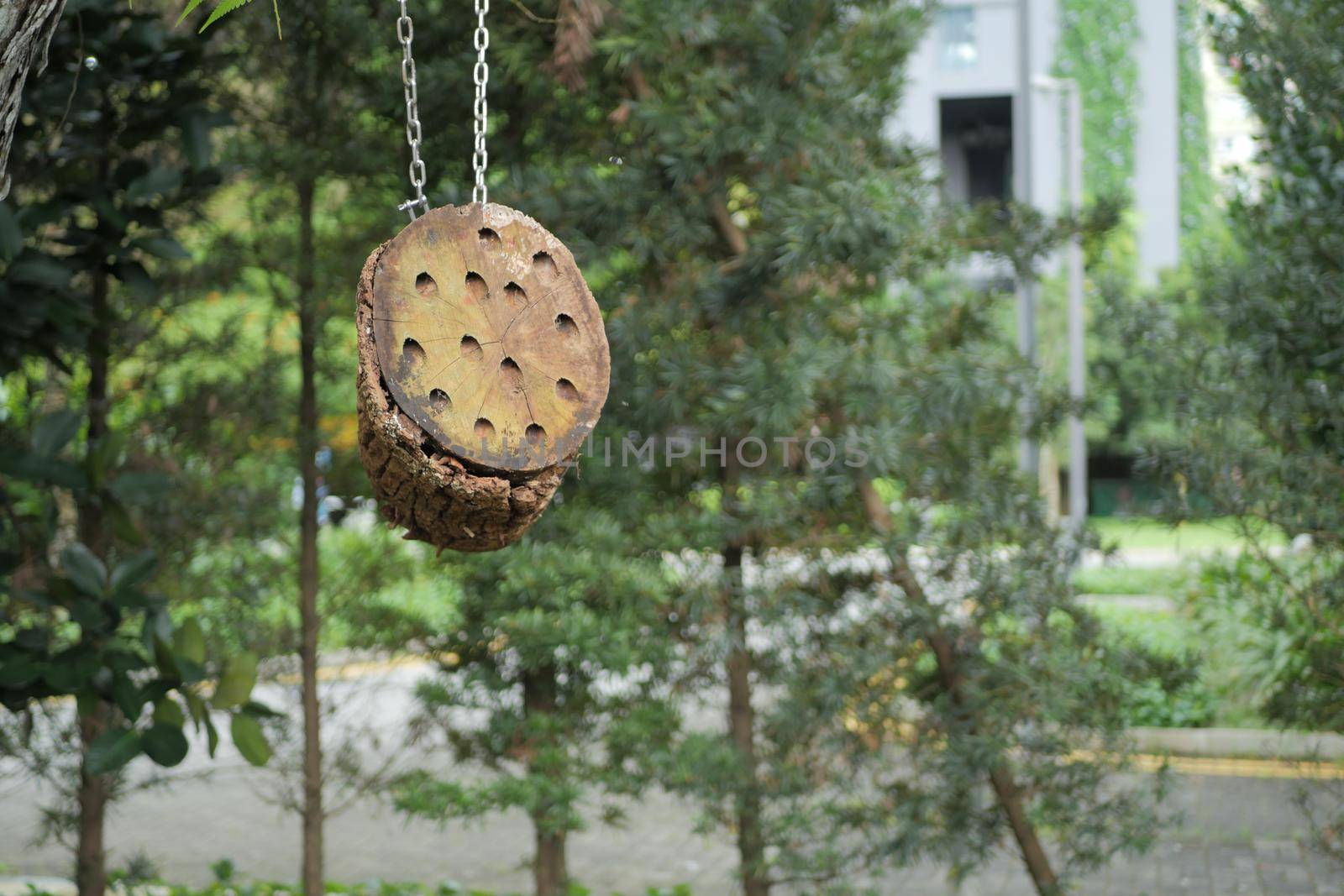 a bee hotel, Insect hotel on the tree ,