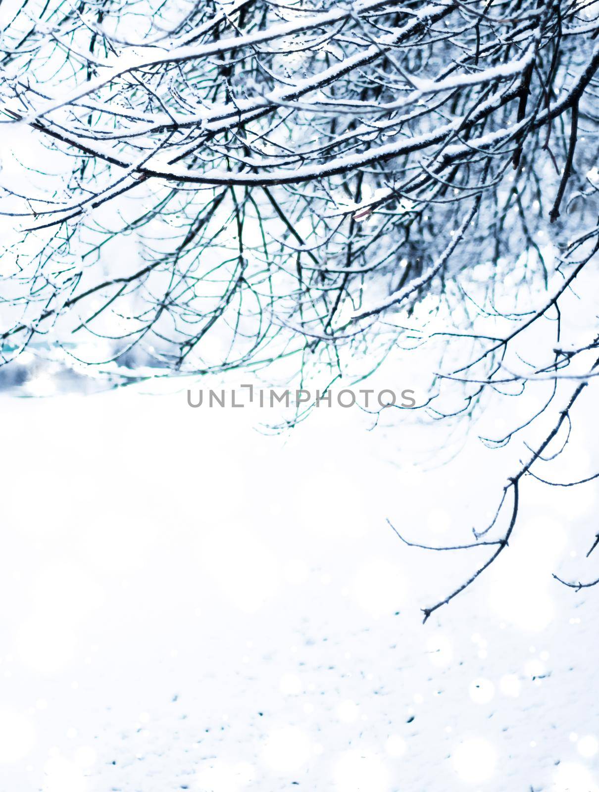 Winter holiday background, nature scenery with shiny snow and cold weather in forest at Christmas time by Anneleven