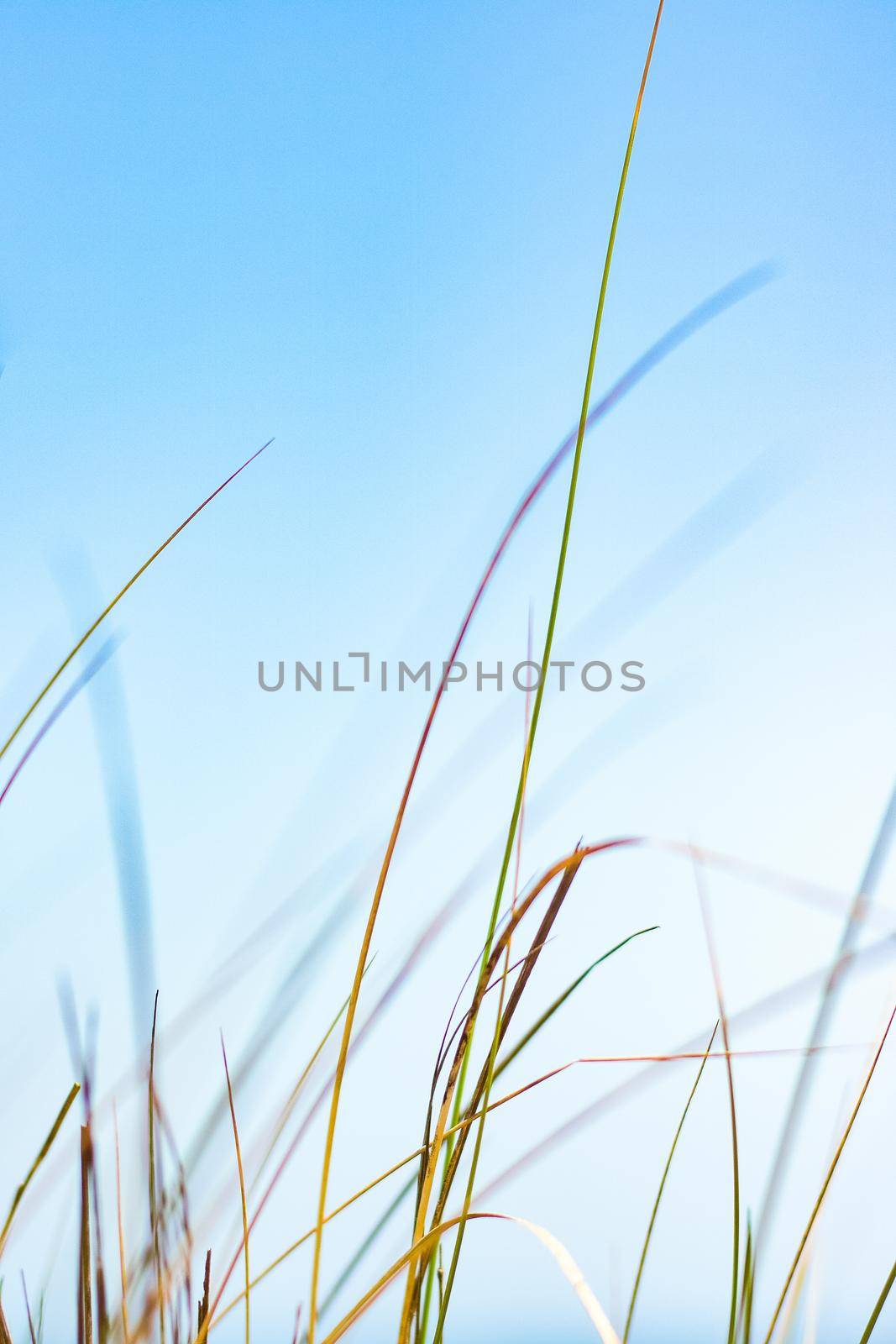 Beauty in nature, balanced lifestyle, environmental concept - Rustic spring field