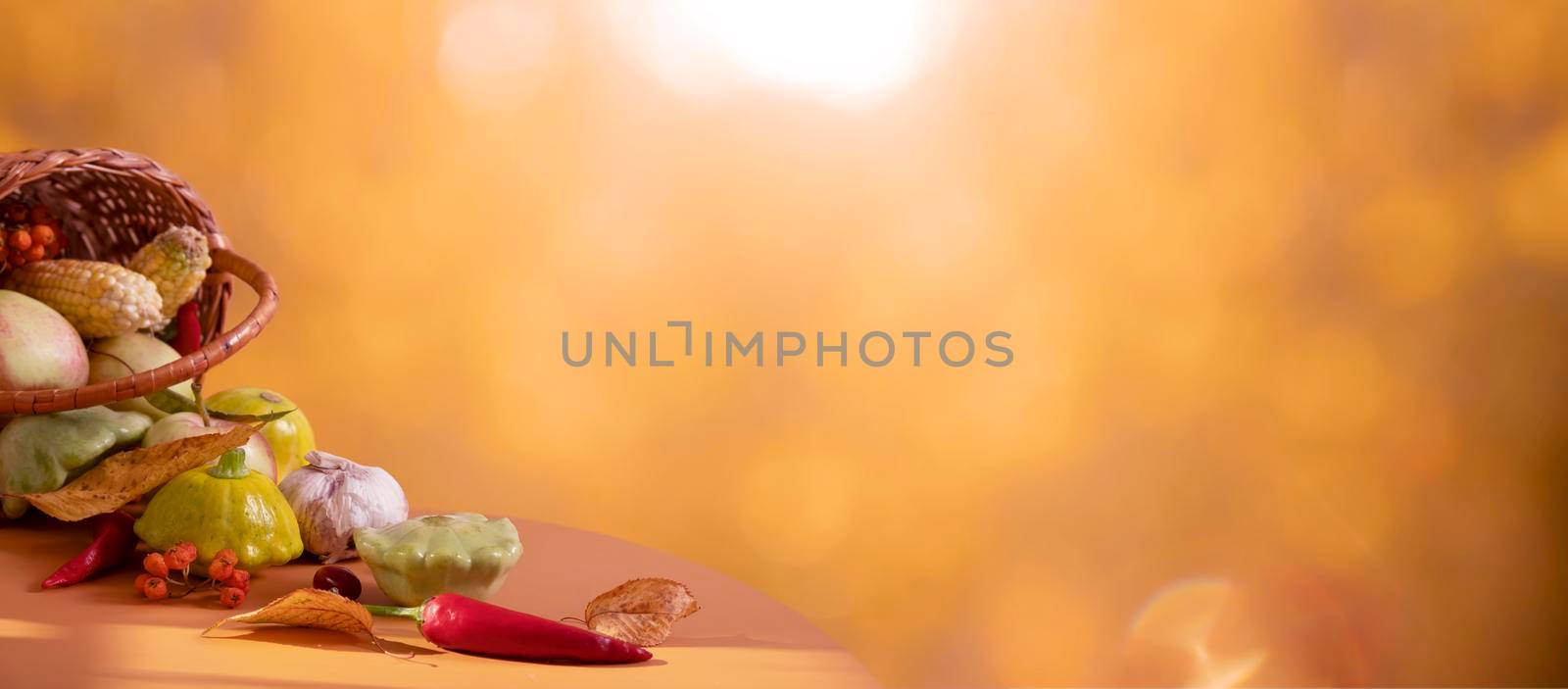 Autumn banner with basket and vegetables, autumn fall leaf on background with sunlight and bokeh. Copy space by ssvimaliss