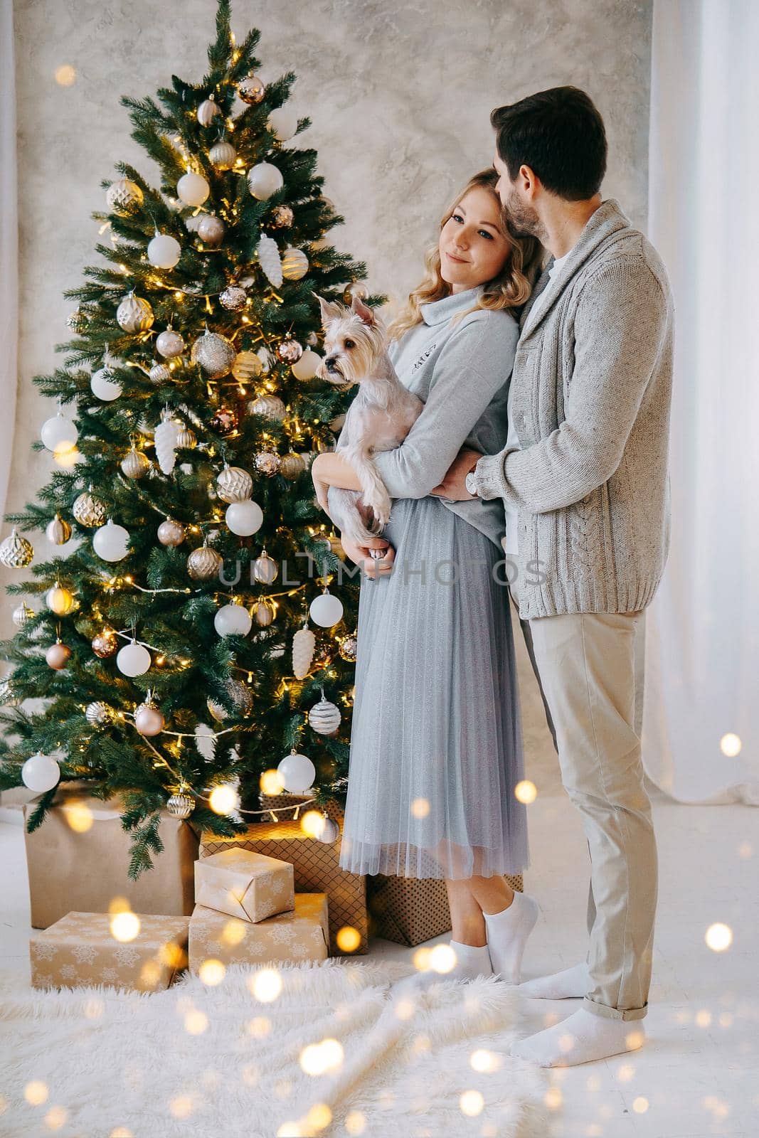 A happy couple in love - a man and a woman. A family in a bright New Year's interior with a Christmas tree by Annu1tochka