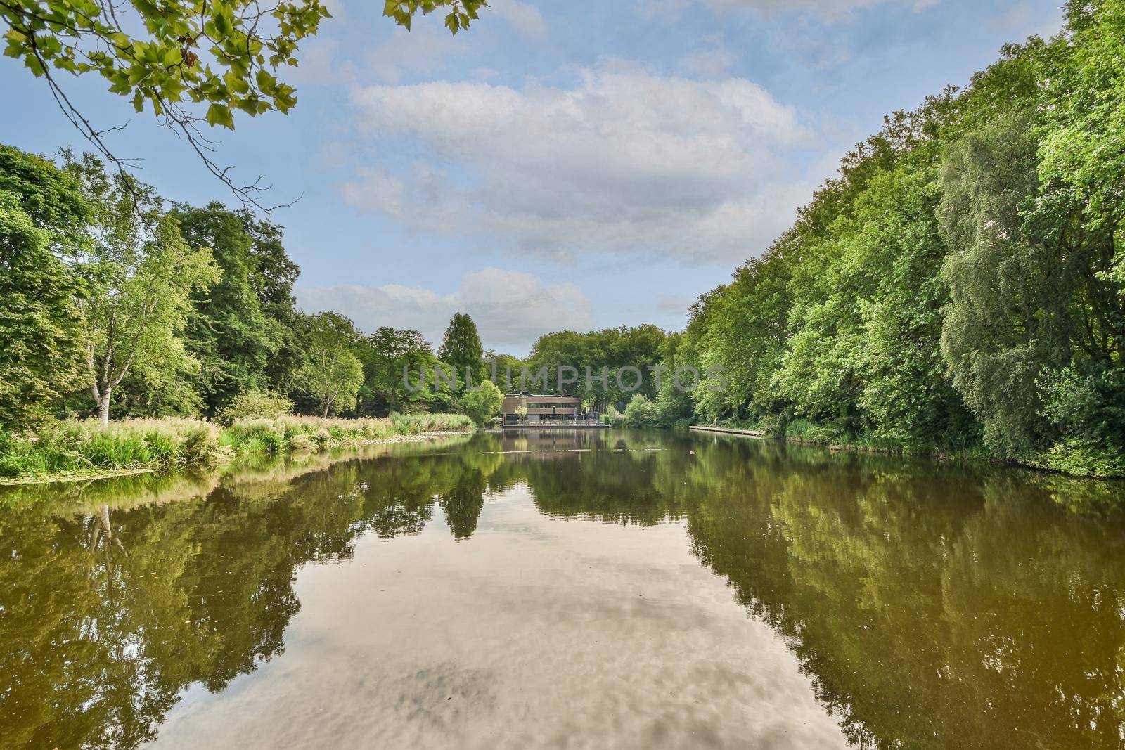 View of river near building with beauty