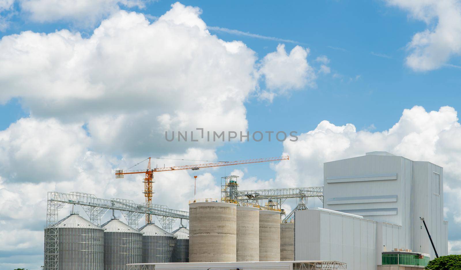 Animal feed factory construction site. Agricultural silo at feed mill factory. Tank for store grain in feed manufacturing. Seed stock tower for commercial animal feed production. Animal food industry.