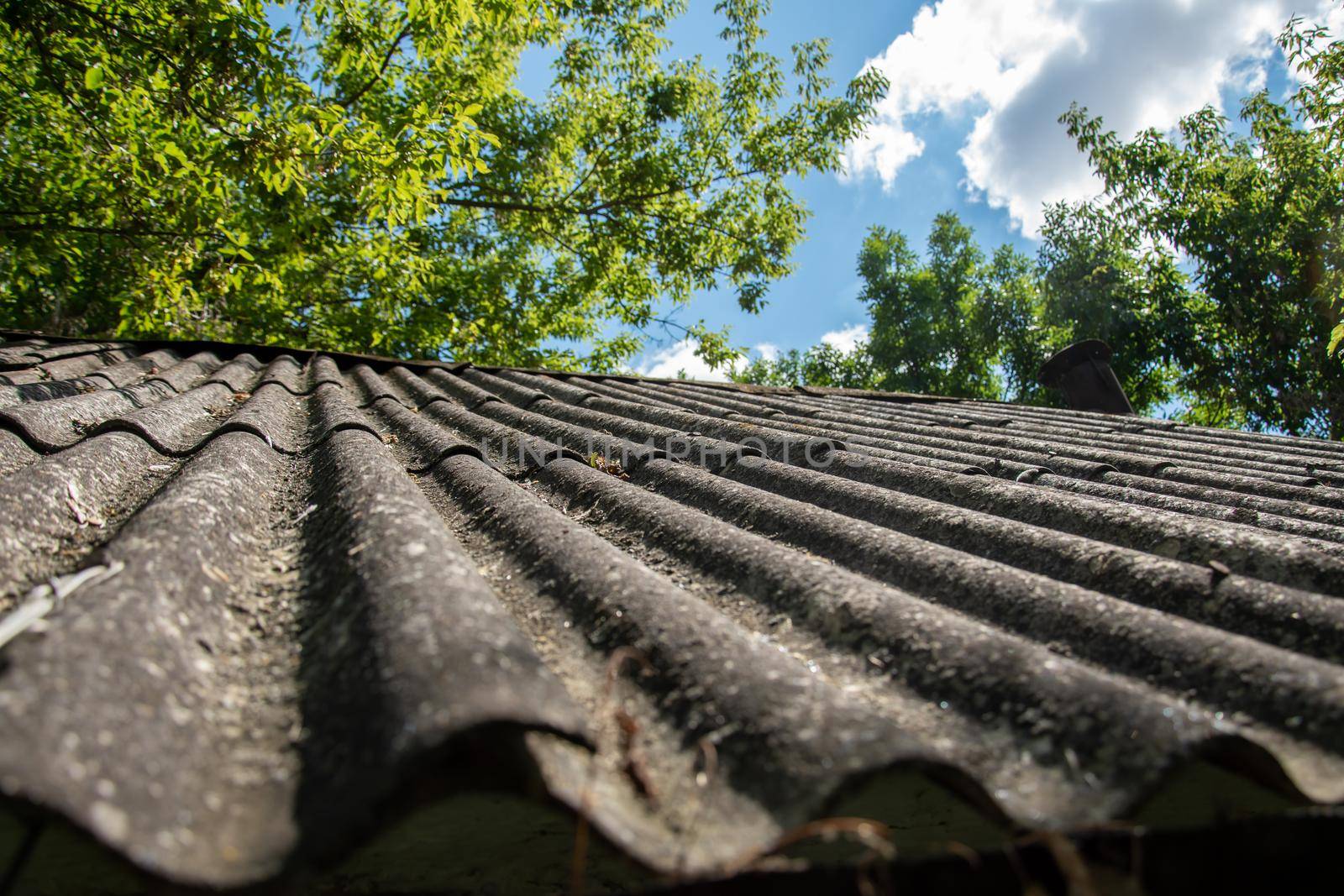 slate roof on the house.