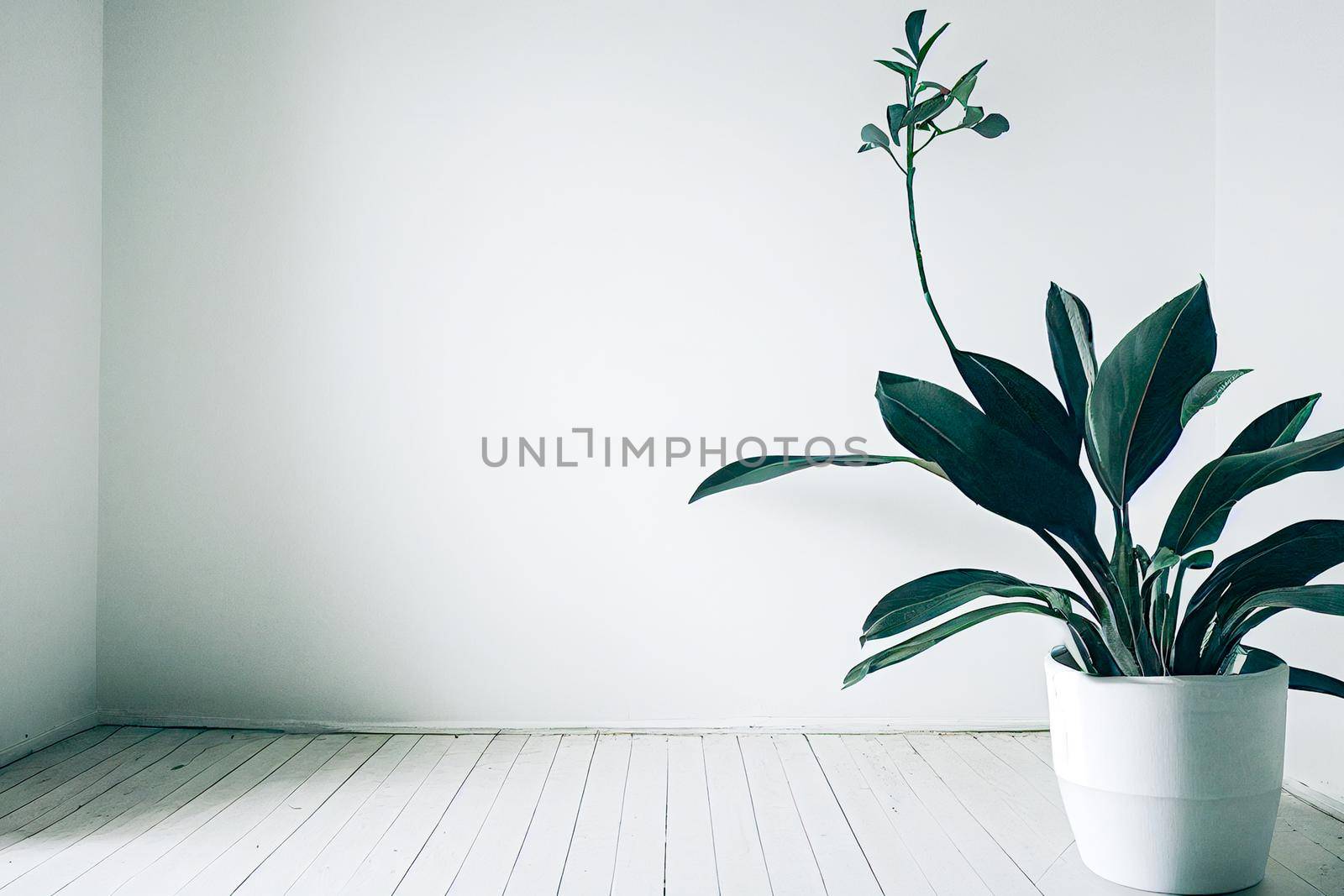 White empty room with plant. Room interior 3d illustration.