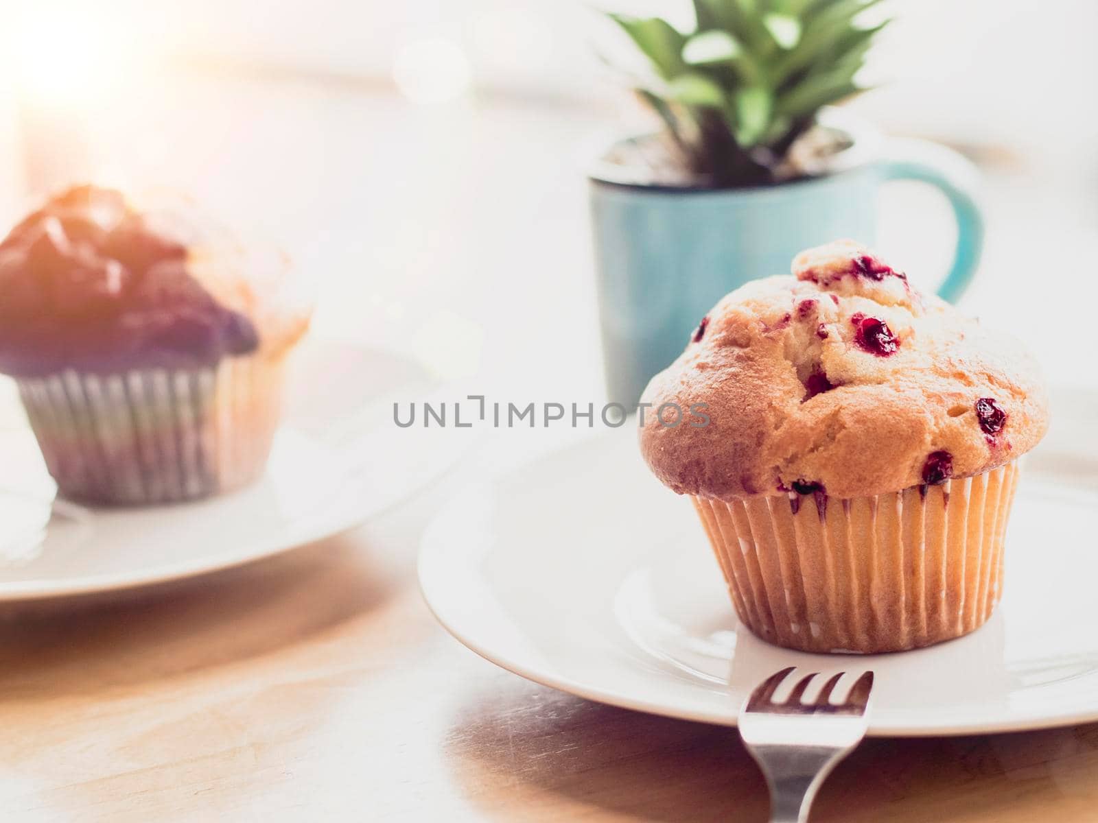 selective focus Blueberry muffins in a basket  baked blueberry muffins cooling with warm lighting