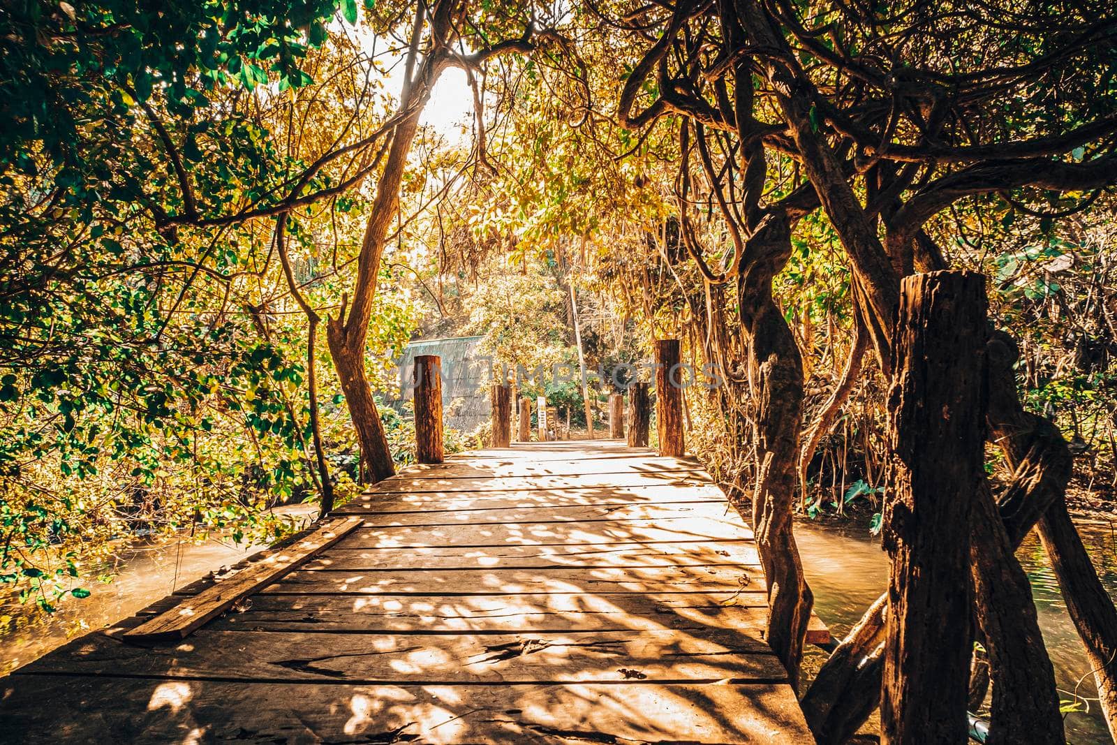 Morning Sunlight shine through old Little wooden bridge on first sunrays at morning in summer forest
