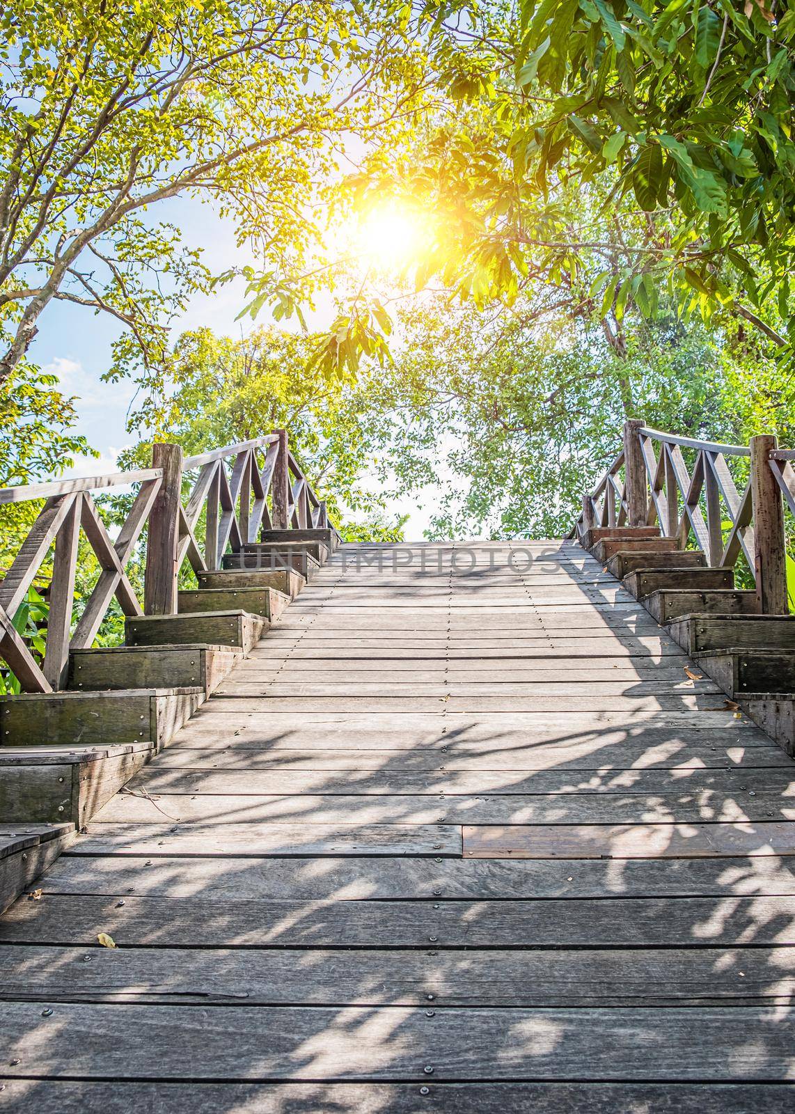 Wooden pathway in deep green forest lake. Beautiful wooden path trail for nature trekking