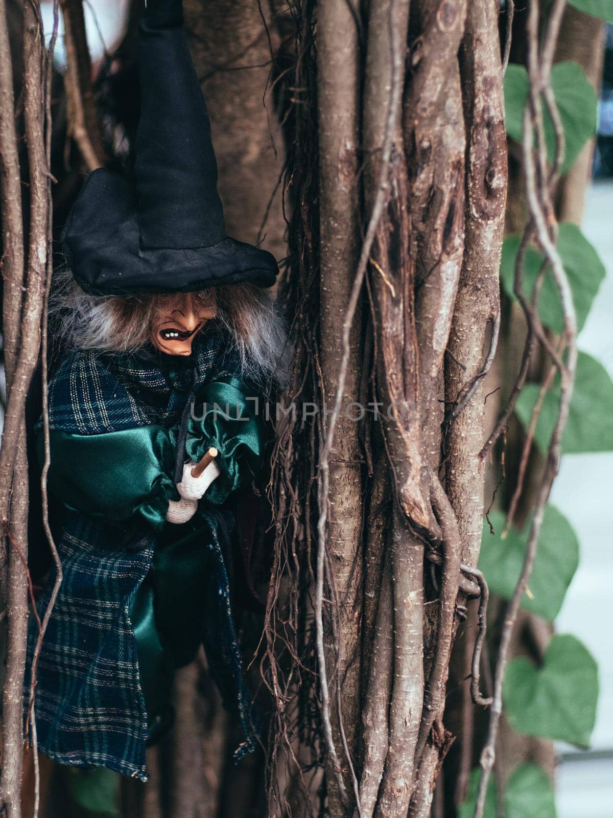 Evil witch on nature dark background, closeup portrait of old lady with terrifying makeup, Halloween background by Petrichor