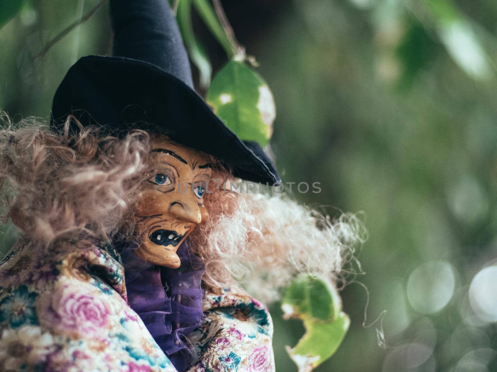 Evil witch on nature dark background, closeup portrait of old lady with terrifying makeup, Halloween background
