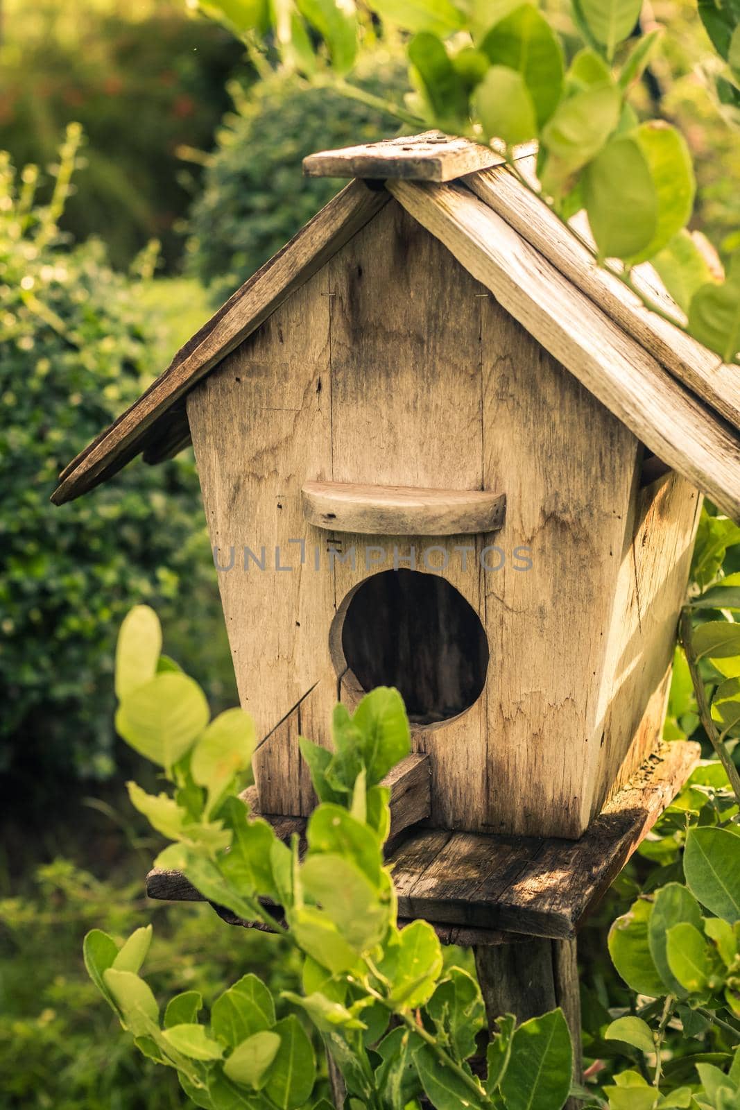 Wooden Outdoor Garden Birds Wood Nesting House Nest Home in Garden. Garden nature idea.