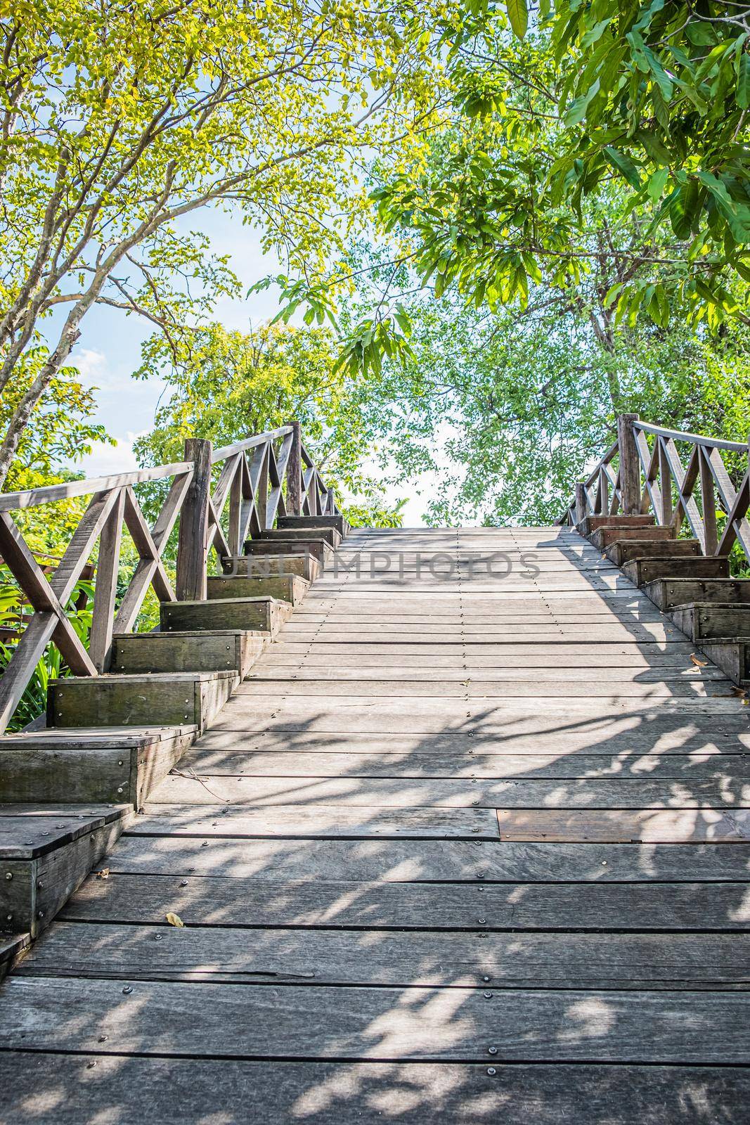 Wooden pathway in deep green forest lake. Beautiful wooden path trail for nature trekking