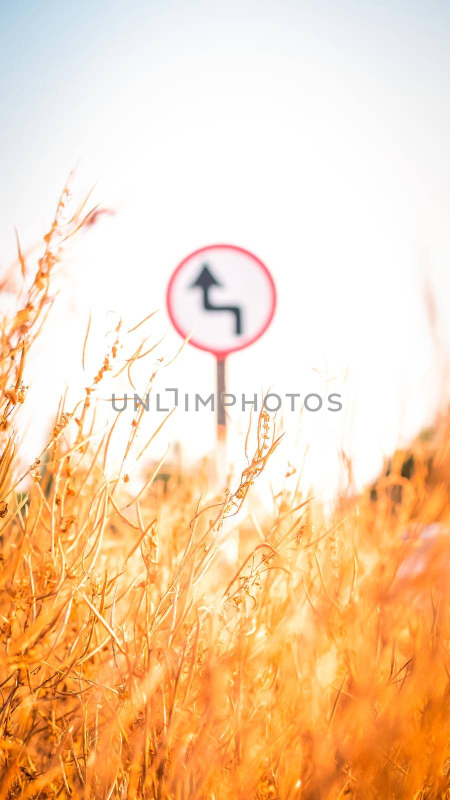 Traffic street  transportation sign over dried grass nature meadow field