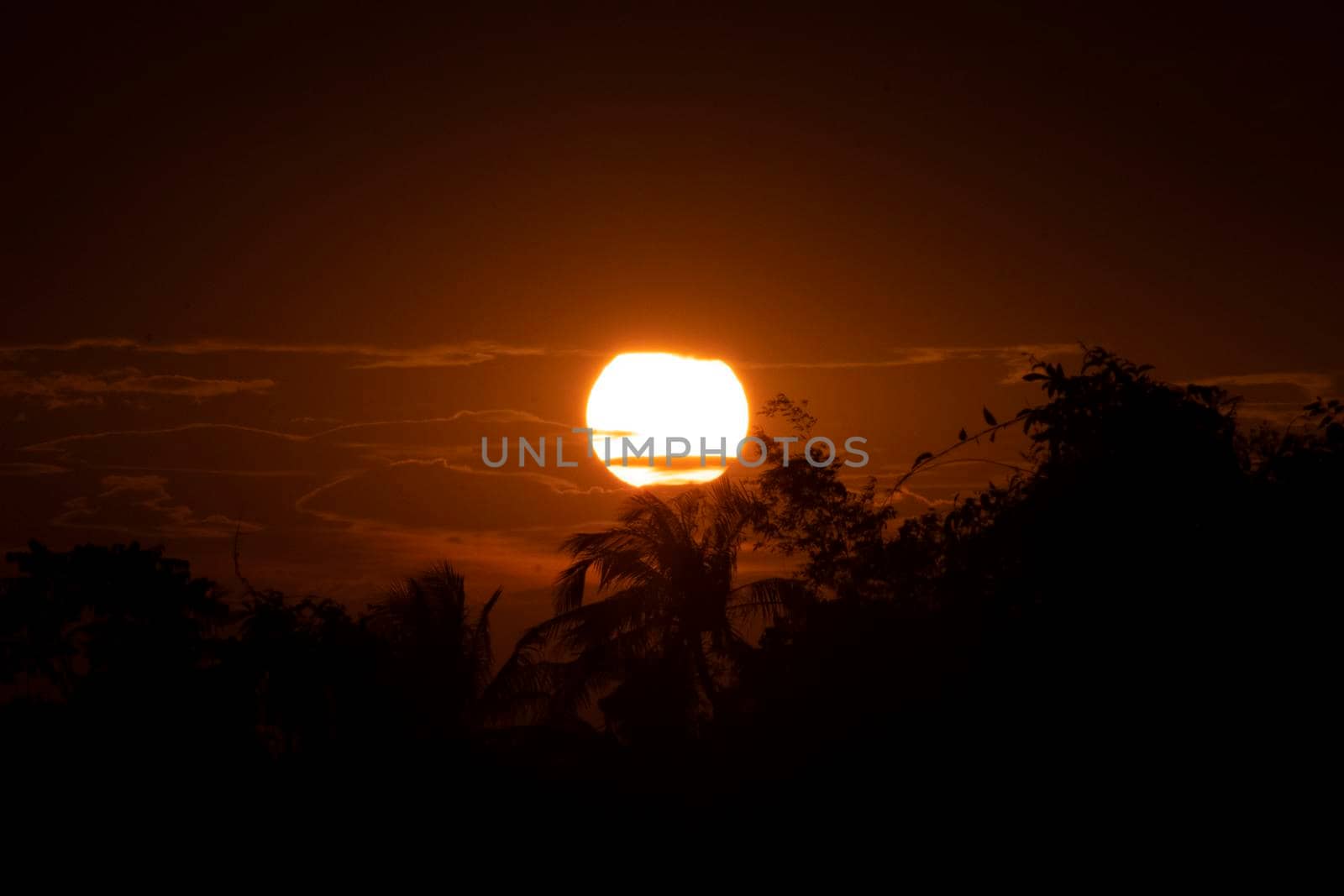 Beautiful sun at sunset sky above clouds orange sunset sky. Beautiful sky. Dramatic red yellow sunset over the forest