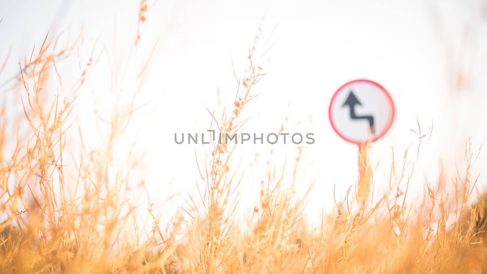 Traffic street  transportation sign over dried grass nature meadow field