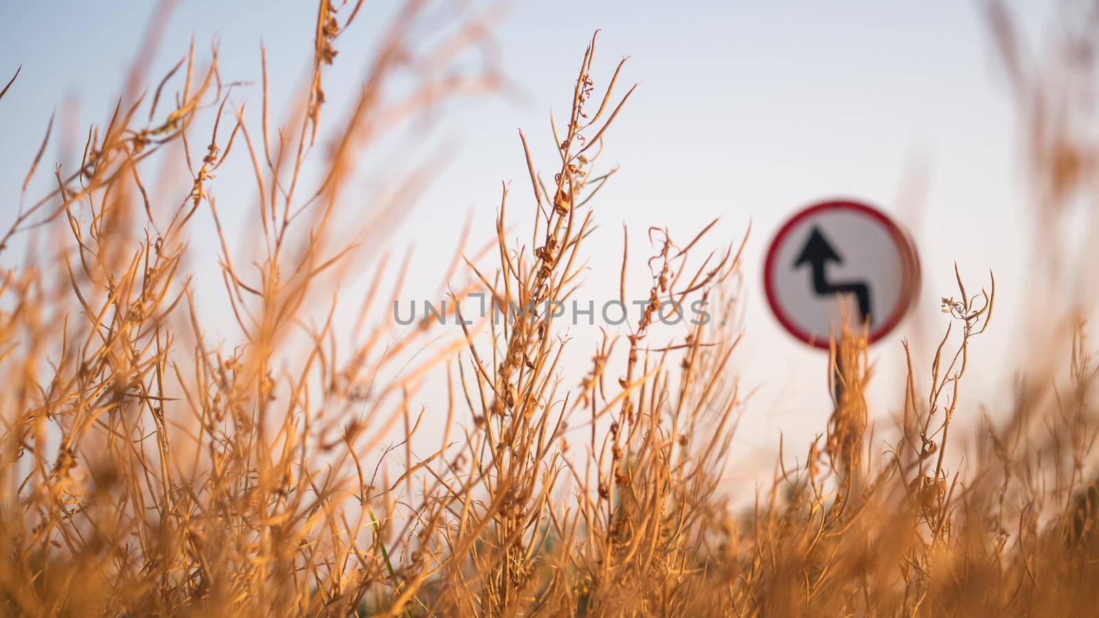 Traffic street  transportation sign over dried grass nature meadow field
