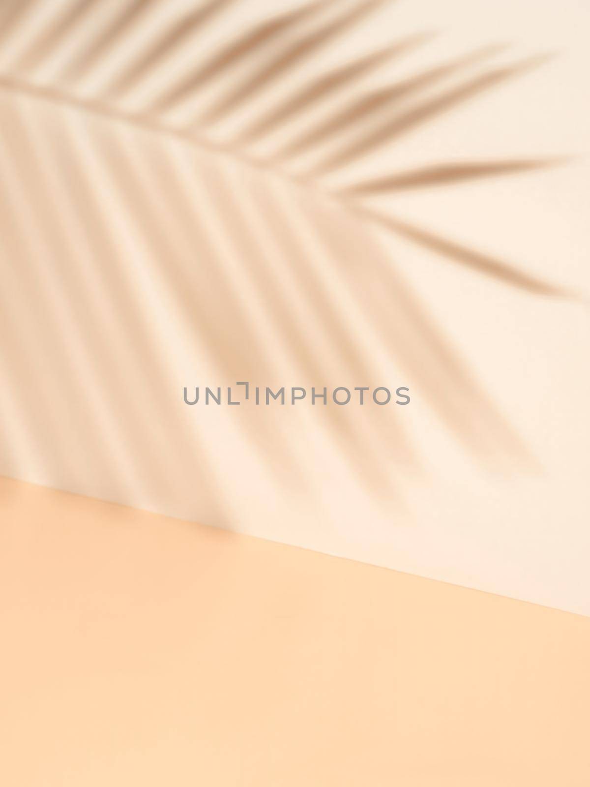 Palm leaf shadow on white wall and cream pastel floor. Abstract background of shadows palm leaf for creative summer minimal mock-up. Neutral tropical palm mockup on light backdrop.Geometric background by 3imad