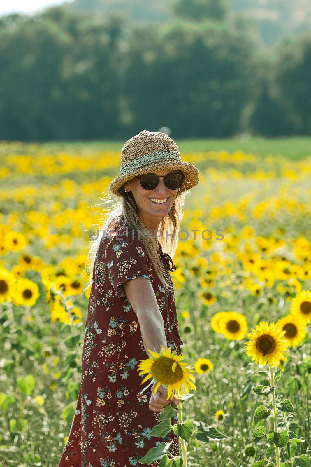 Woman among the sunflowers receive the beautiful afternoon sun. by martinscphoto