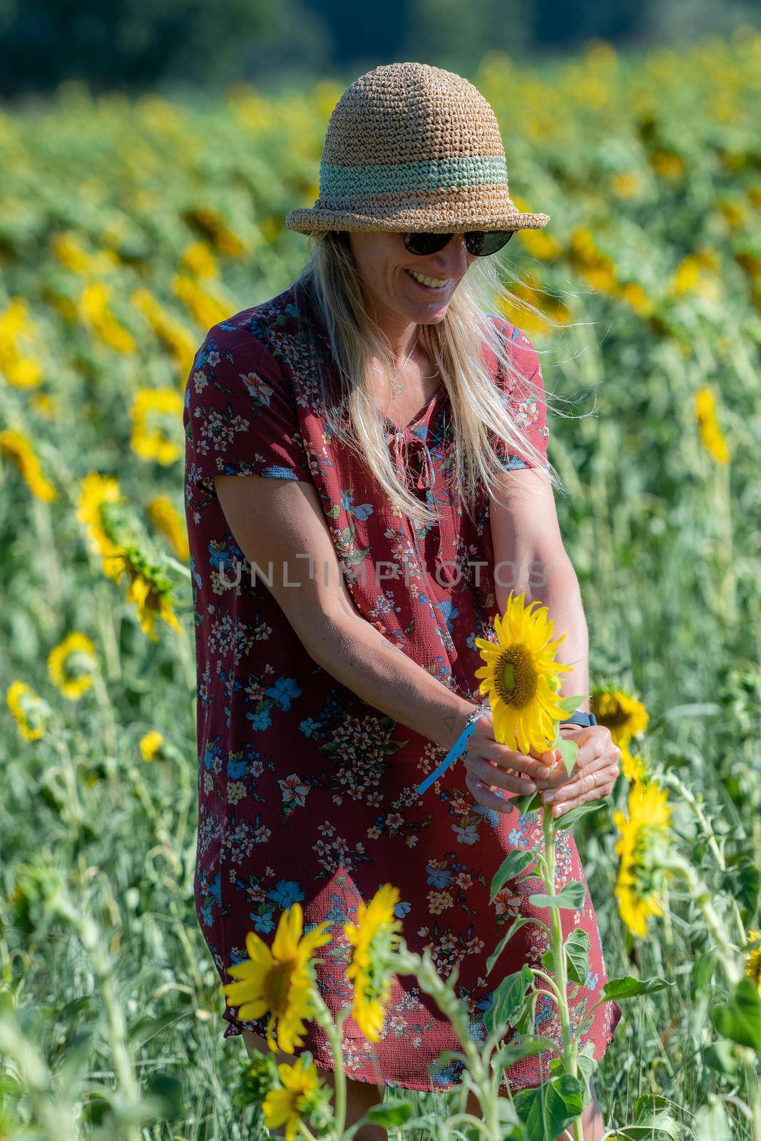 Woman among the sunflowers receive the beautiful afternoon sun.