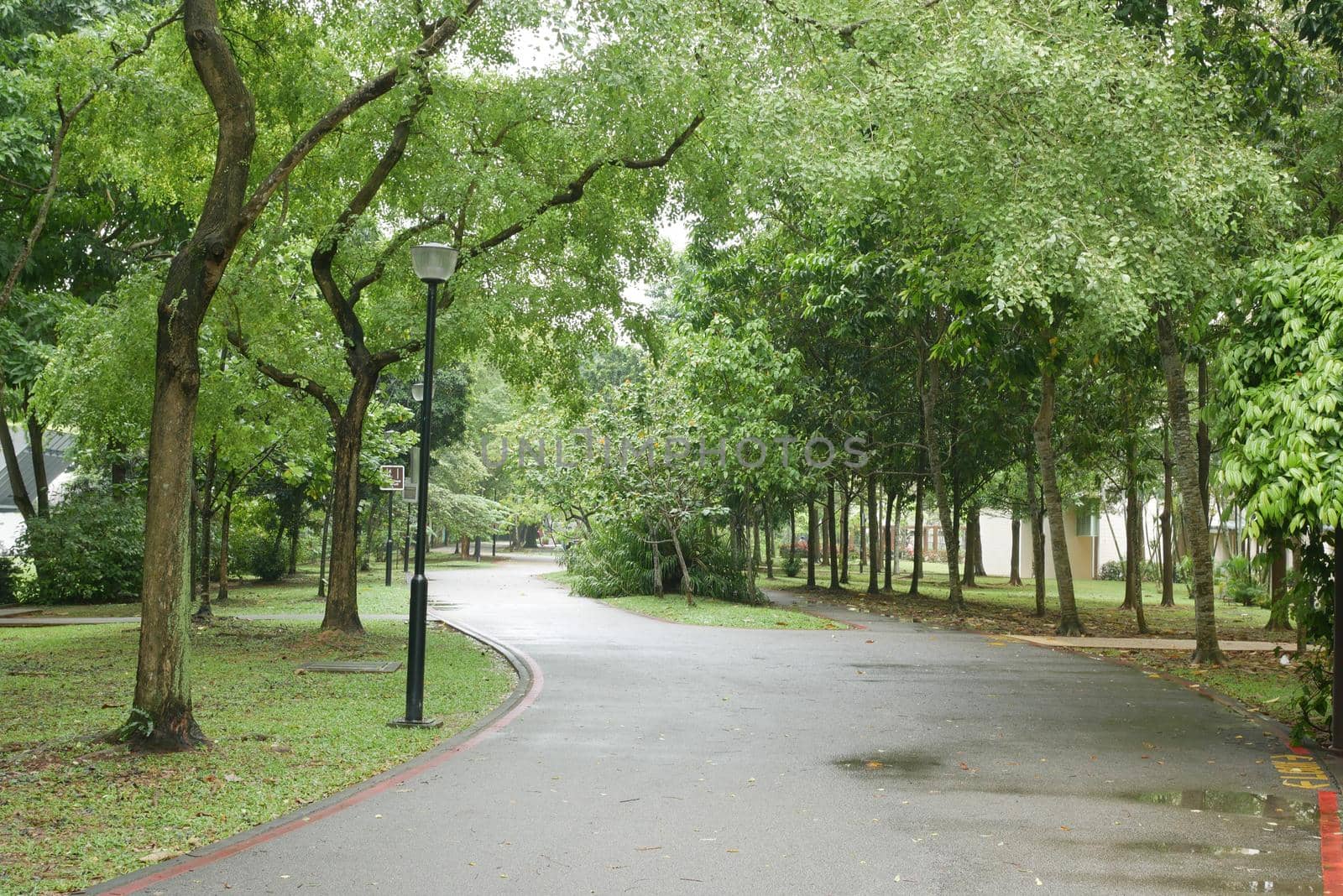 city parks with walkaway at early morning ,