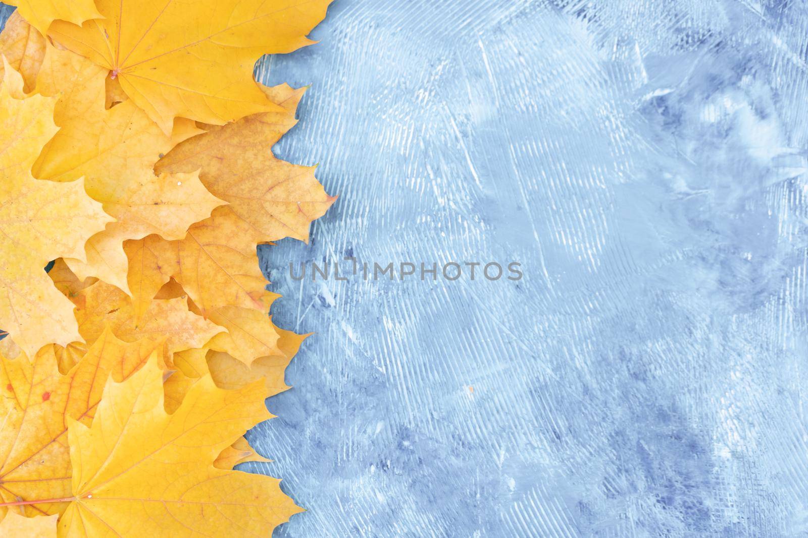 Autumn leaves frame on left side blue structured background top view Fall Border yellow and Orange Leaves vintage background table Copy space. Mock up for your design. Display for product or text