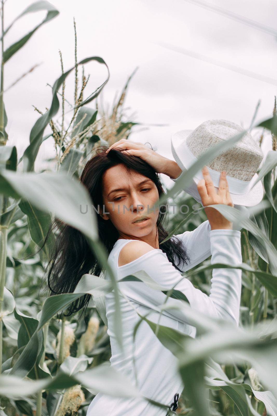 A brunette girl in a white dress in a cornfield. The concept of harvesting.