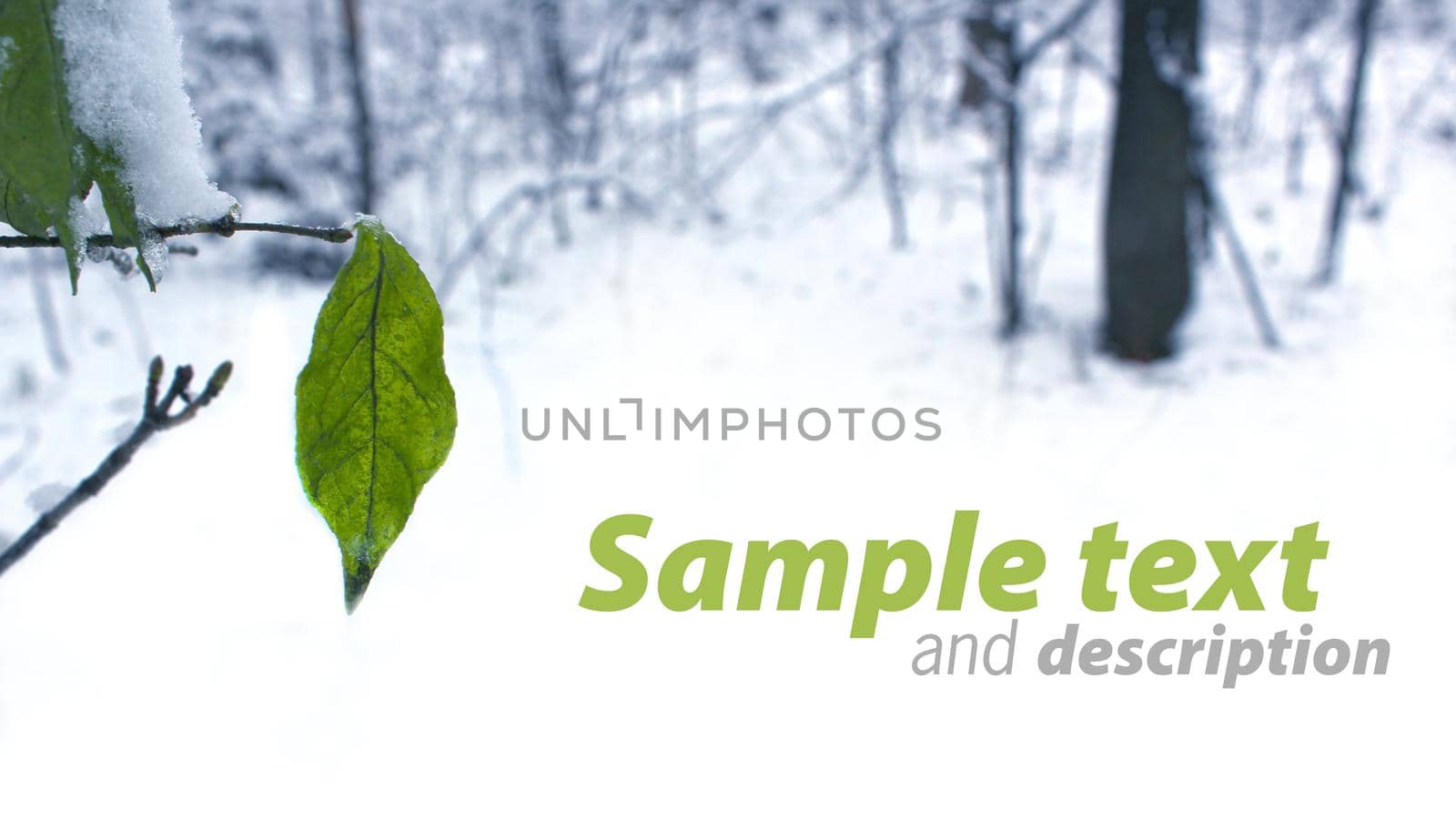 Autumn leaves, winter comes. Winter Landscape with white copy space for text.