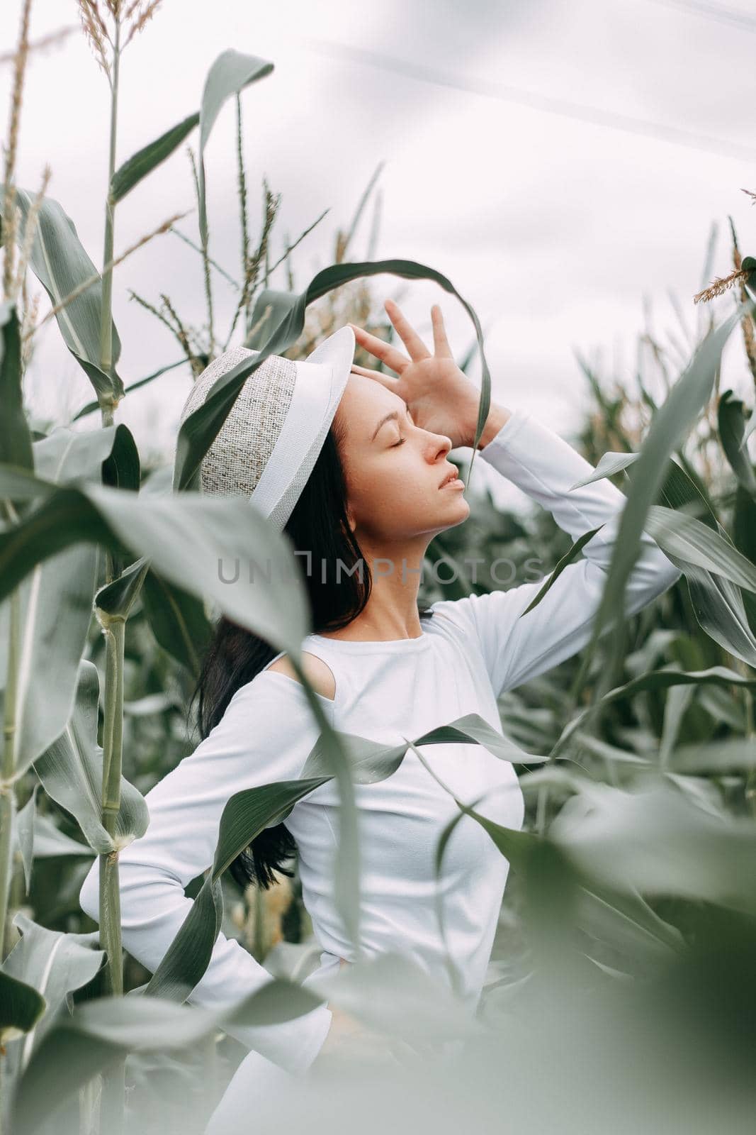 A brunette girl in a white dress in a cornfield. The concept of harvesting.