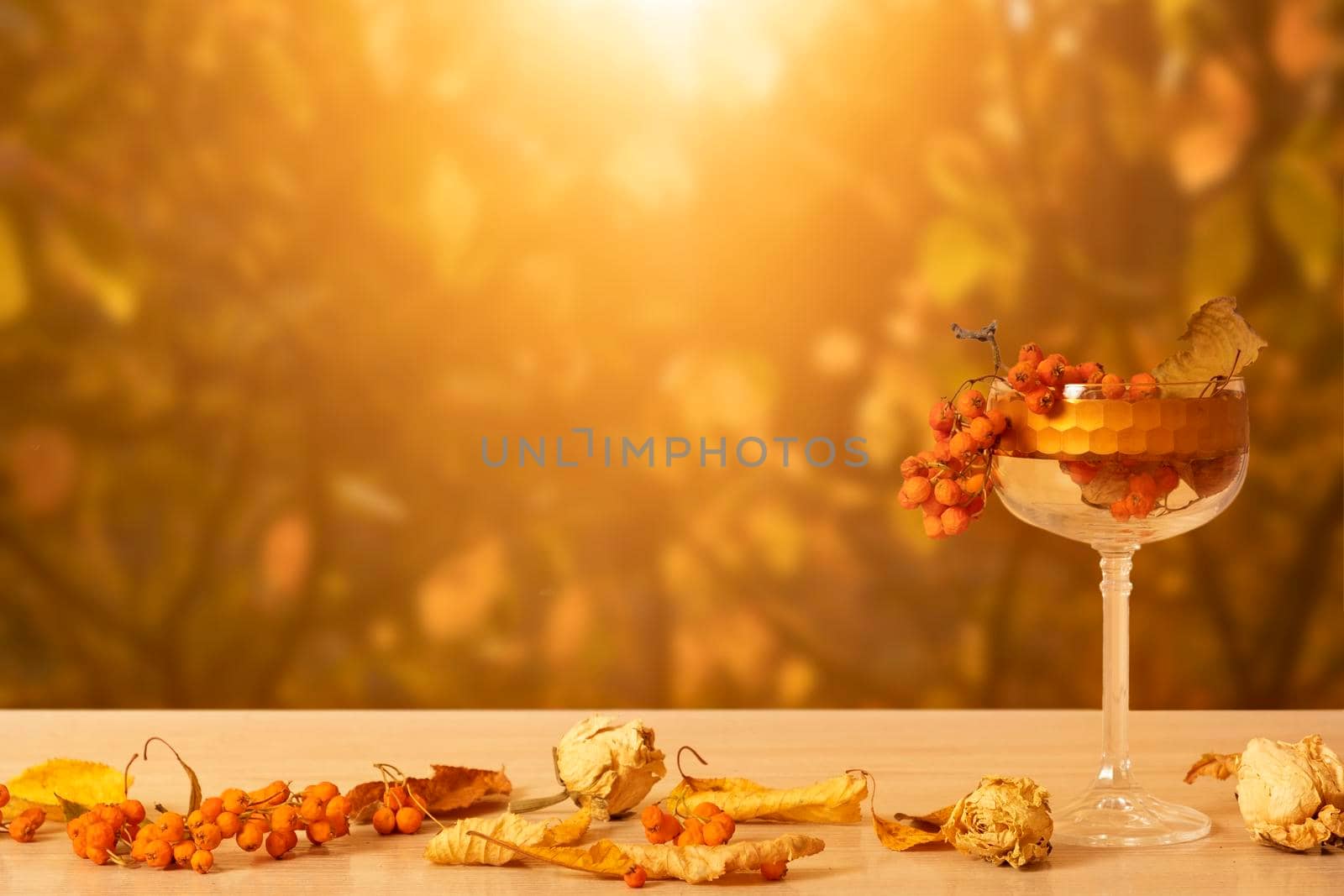 Autumn still life with glass and dry plants on autumn leaf background with sunlight. Abstract autumn composition